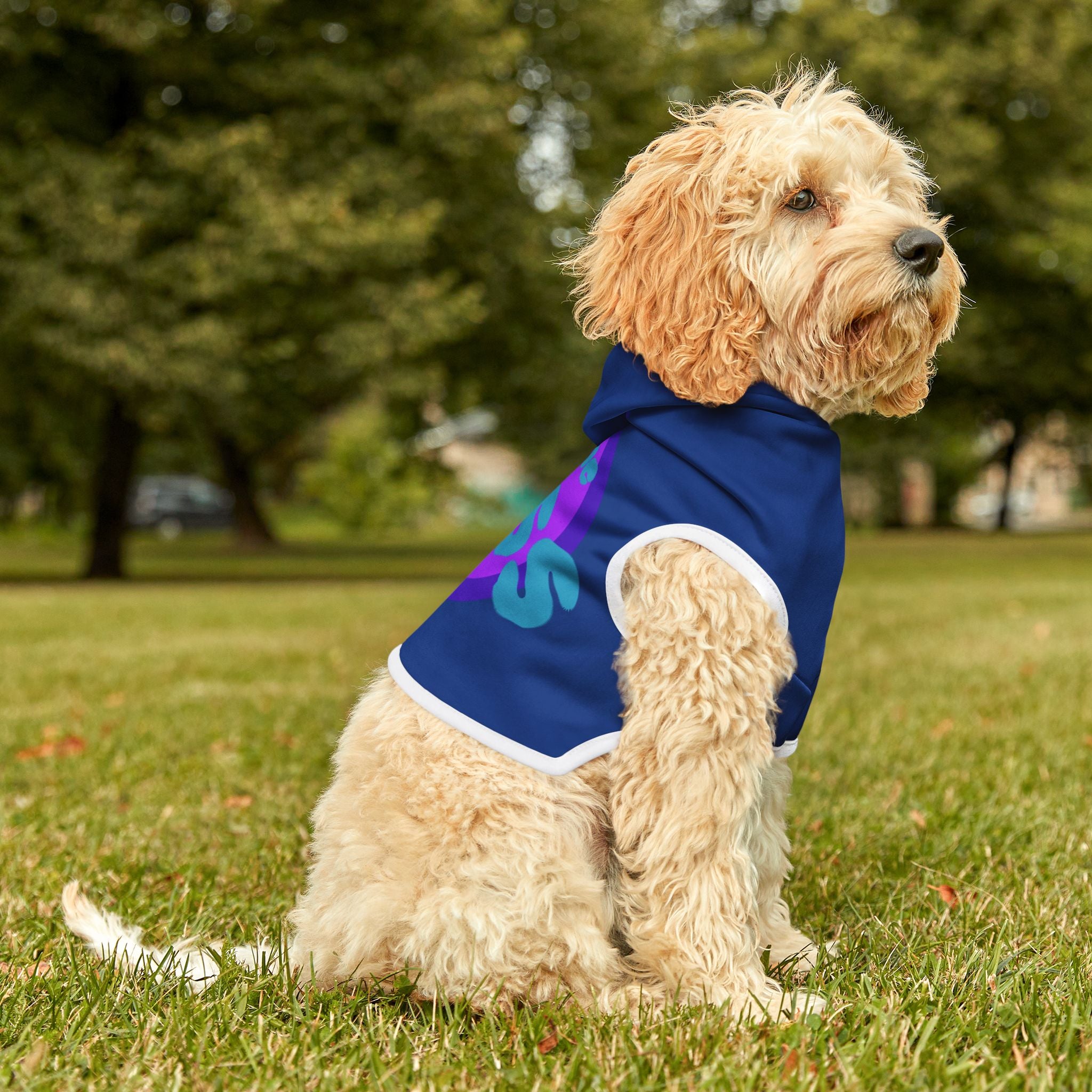 Pet Hoodie | 'I'm The Boss'