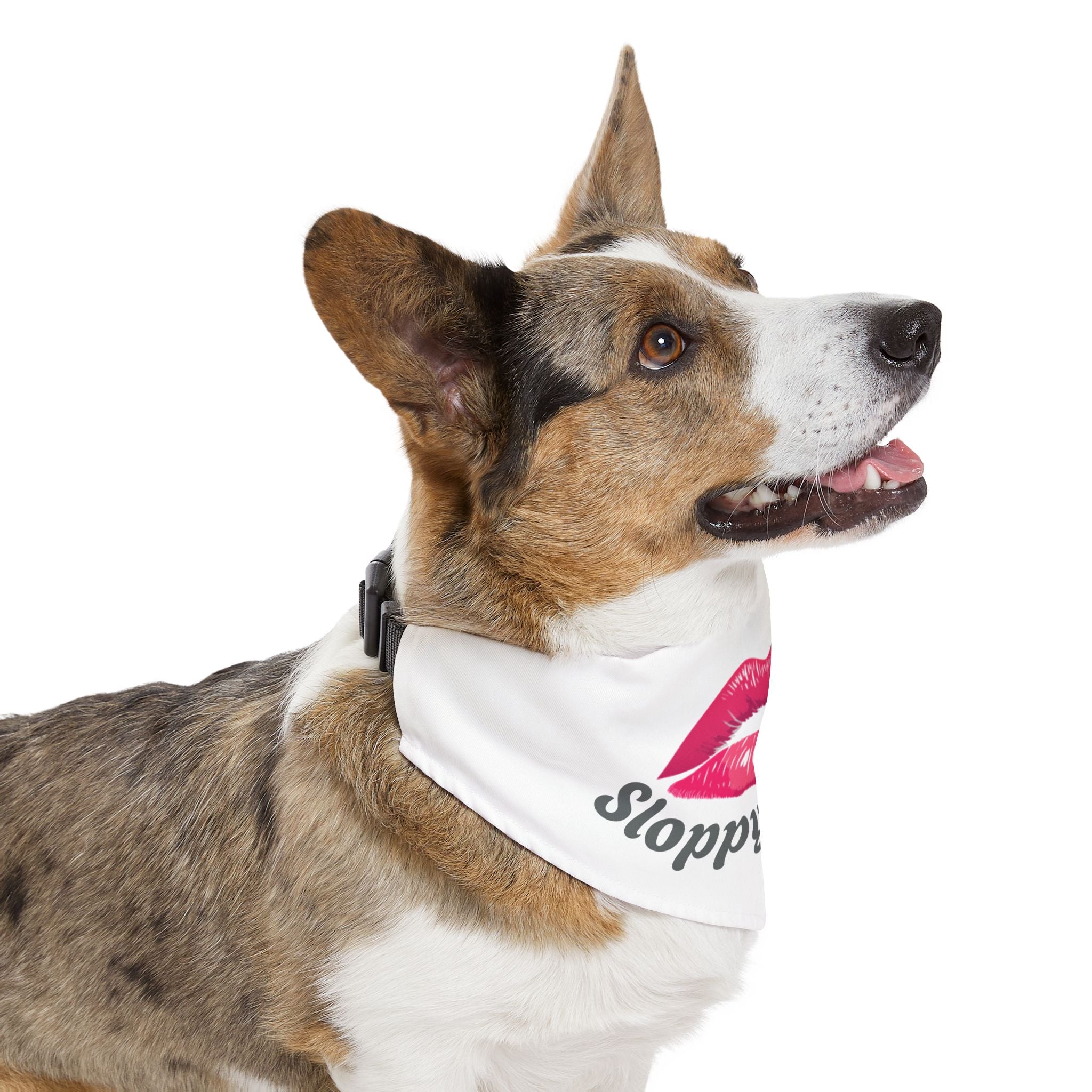 Pet Bandana Collar | 'Sloppy Kisser'