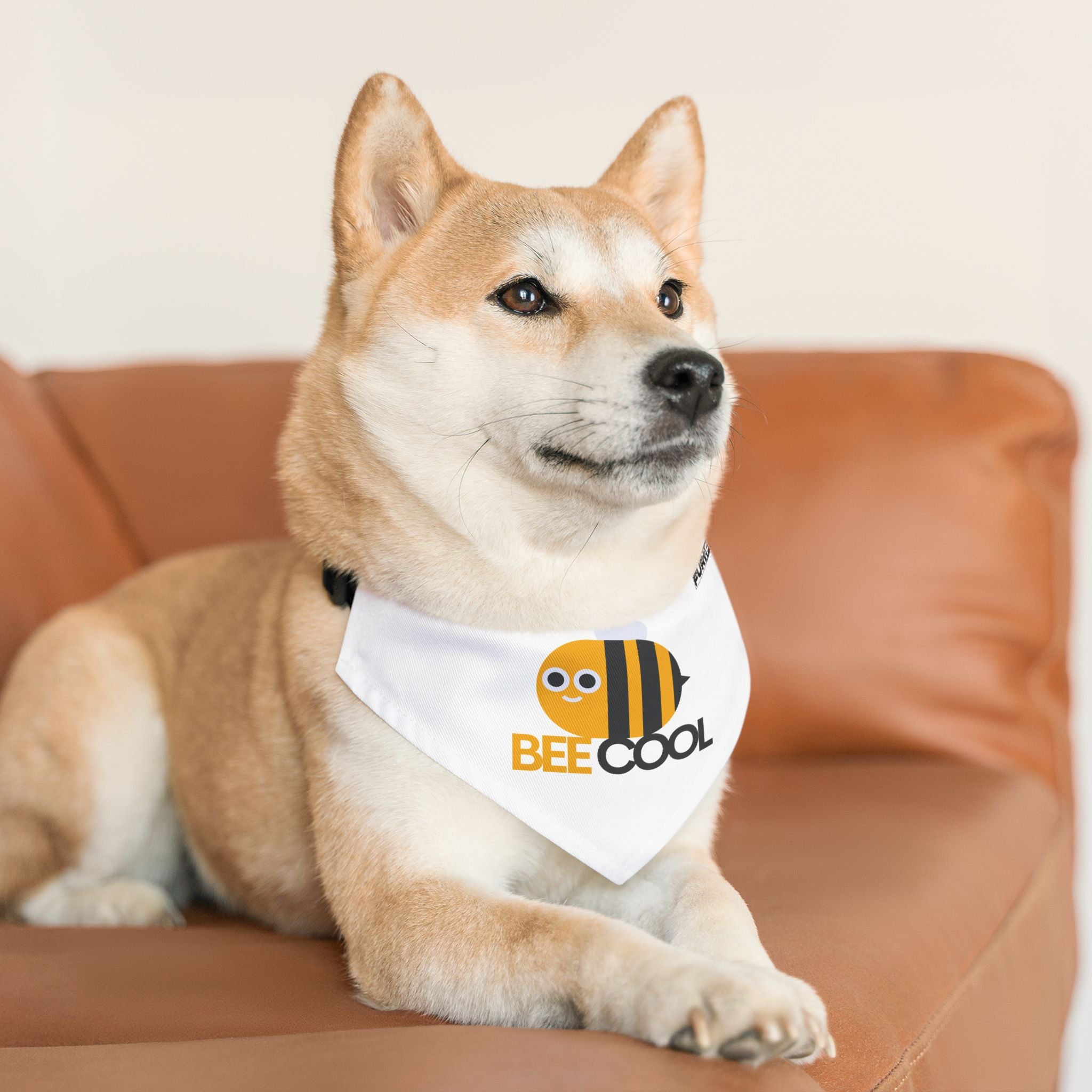 Pet Bandana Collar | 'Bee Cool'