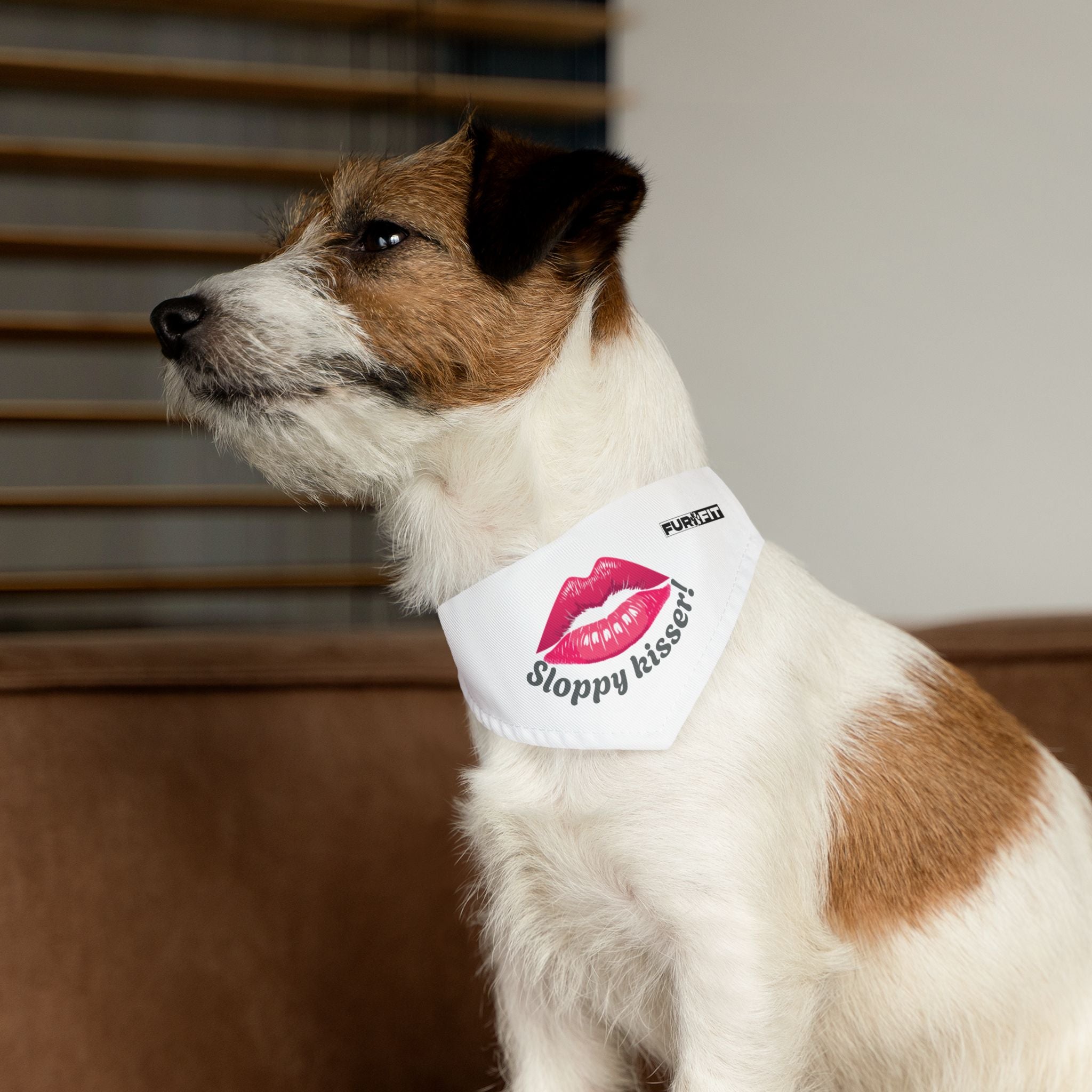 Pet Bandana Collar | 'Sloppy Kisser'