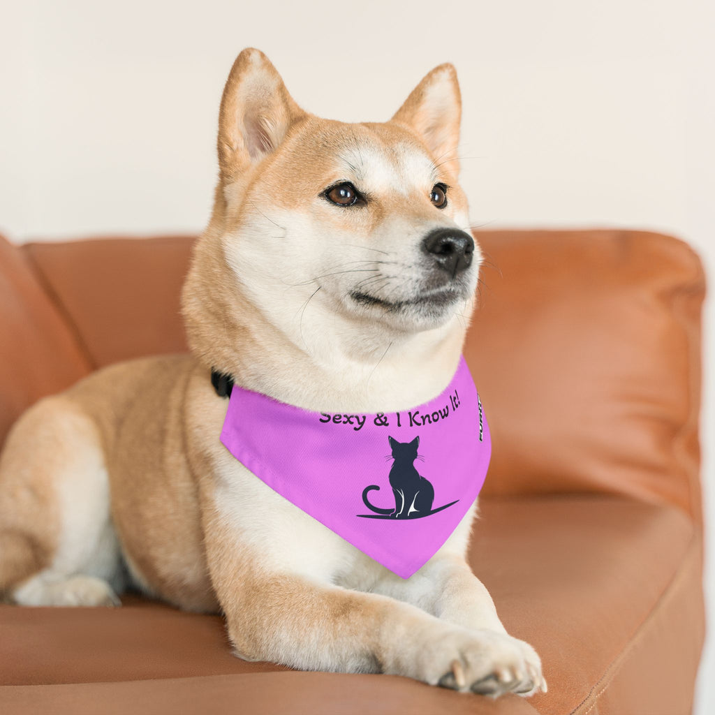 Pet Bandana Collar — "Sexy & I Know It!"