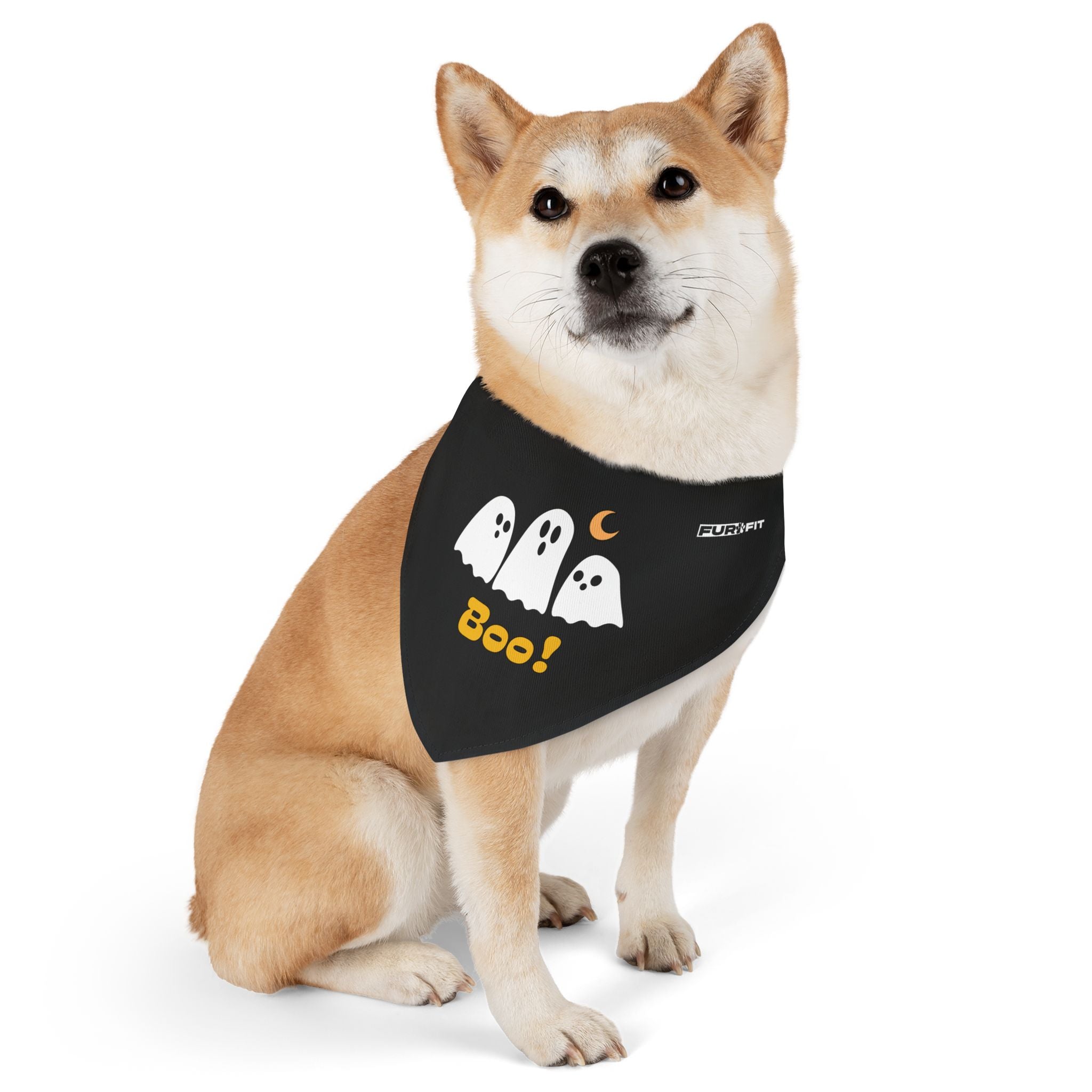 Pet Bandana Collar | 'Boo' with Ghosts (on black)