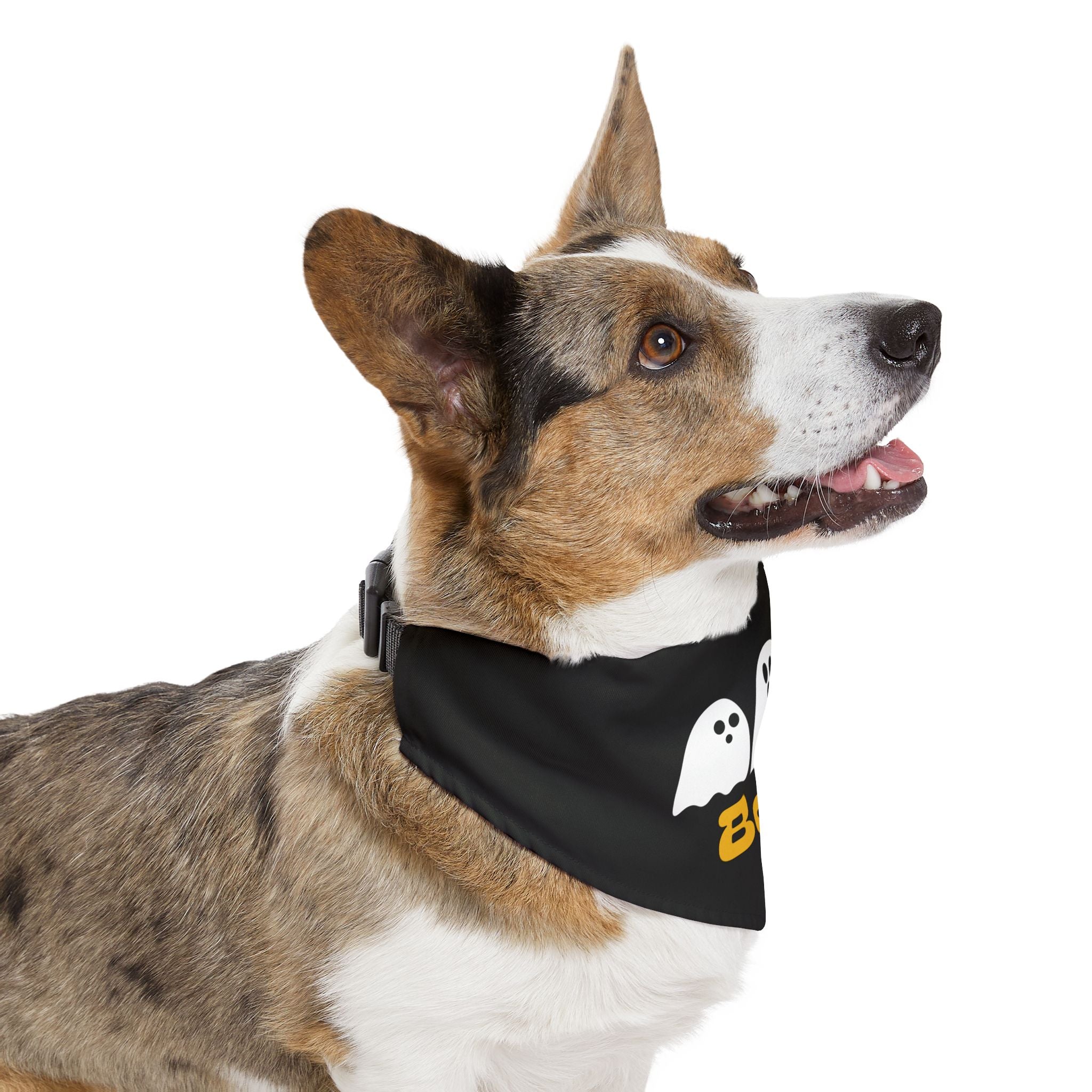 Pet Bandana Collar | 'Boo' with Ghosts (on black)