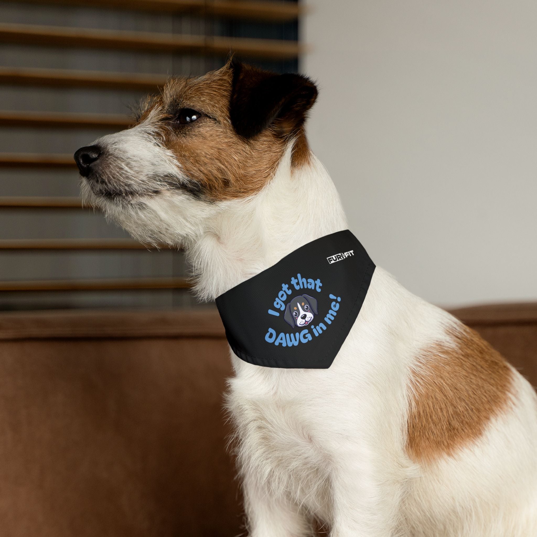 Pet Bandana Collar | "I got that Dawg in me!"