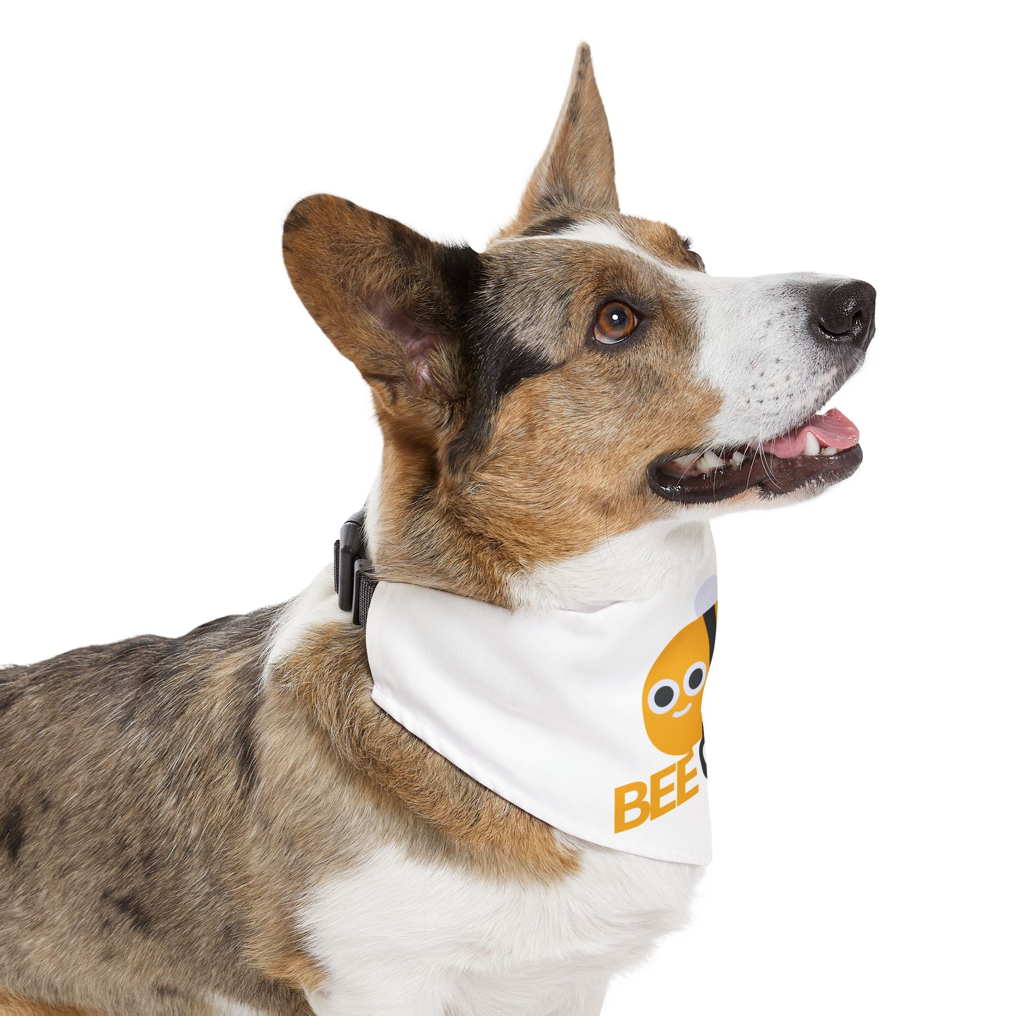 Pet Bandana Collar | 'Bee Cool'