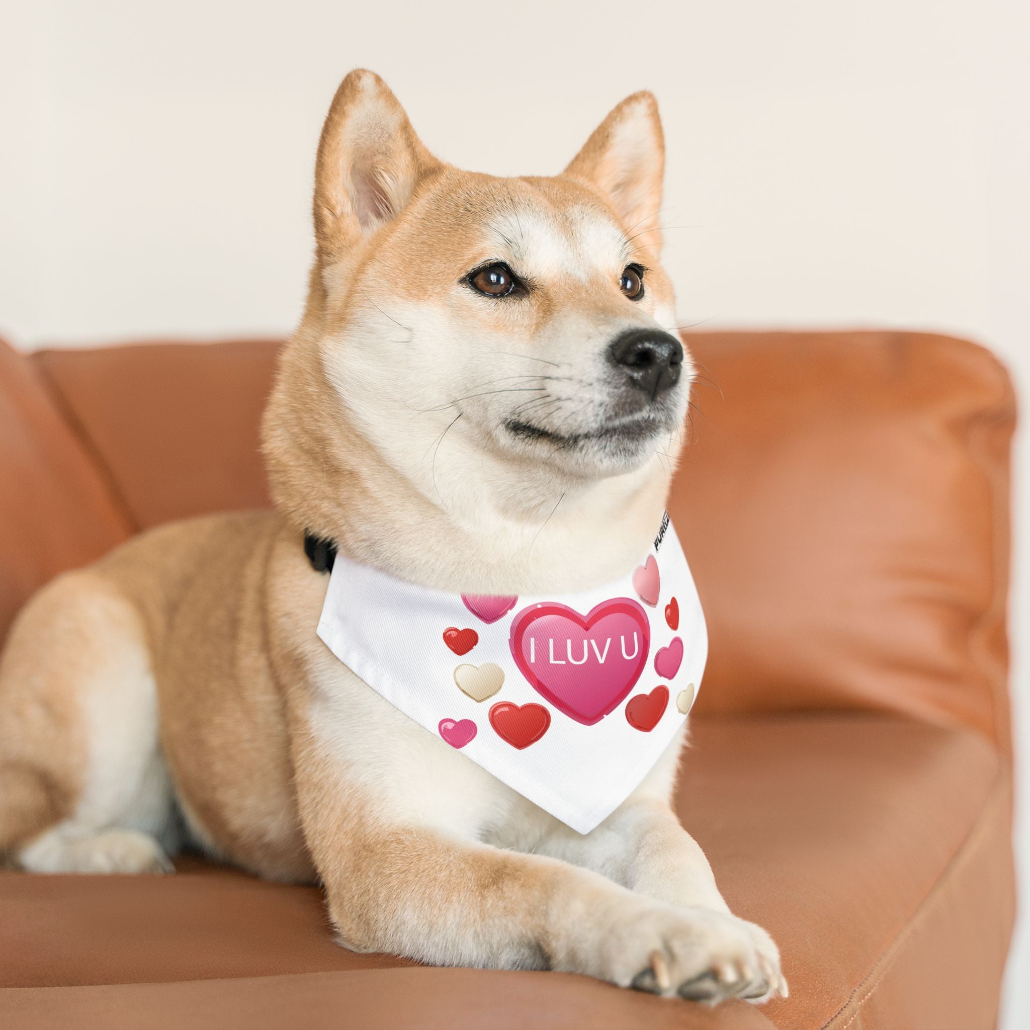Pet Bandana Collar | 'I Luv U'