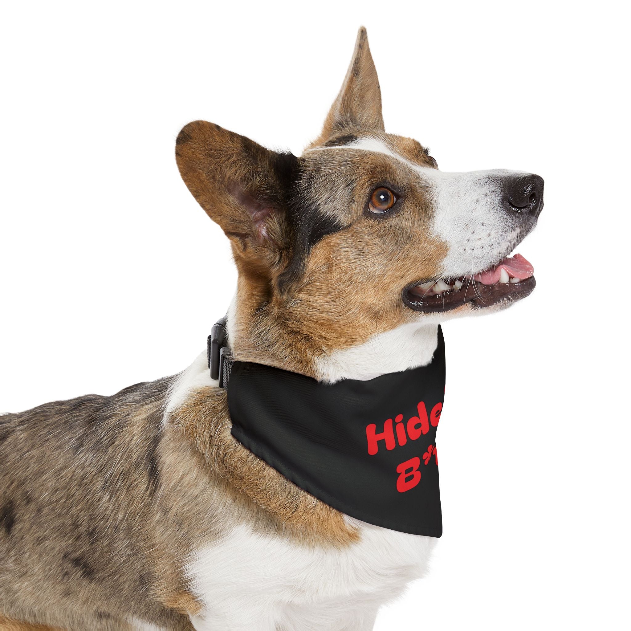 Pet Bandana Collar | 'Hide Your B*tch!'