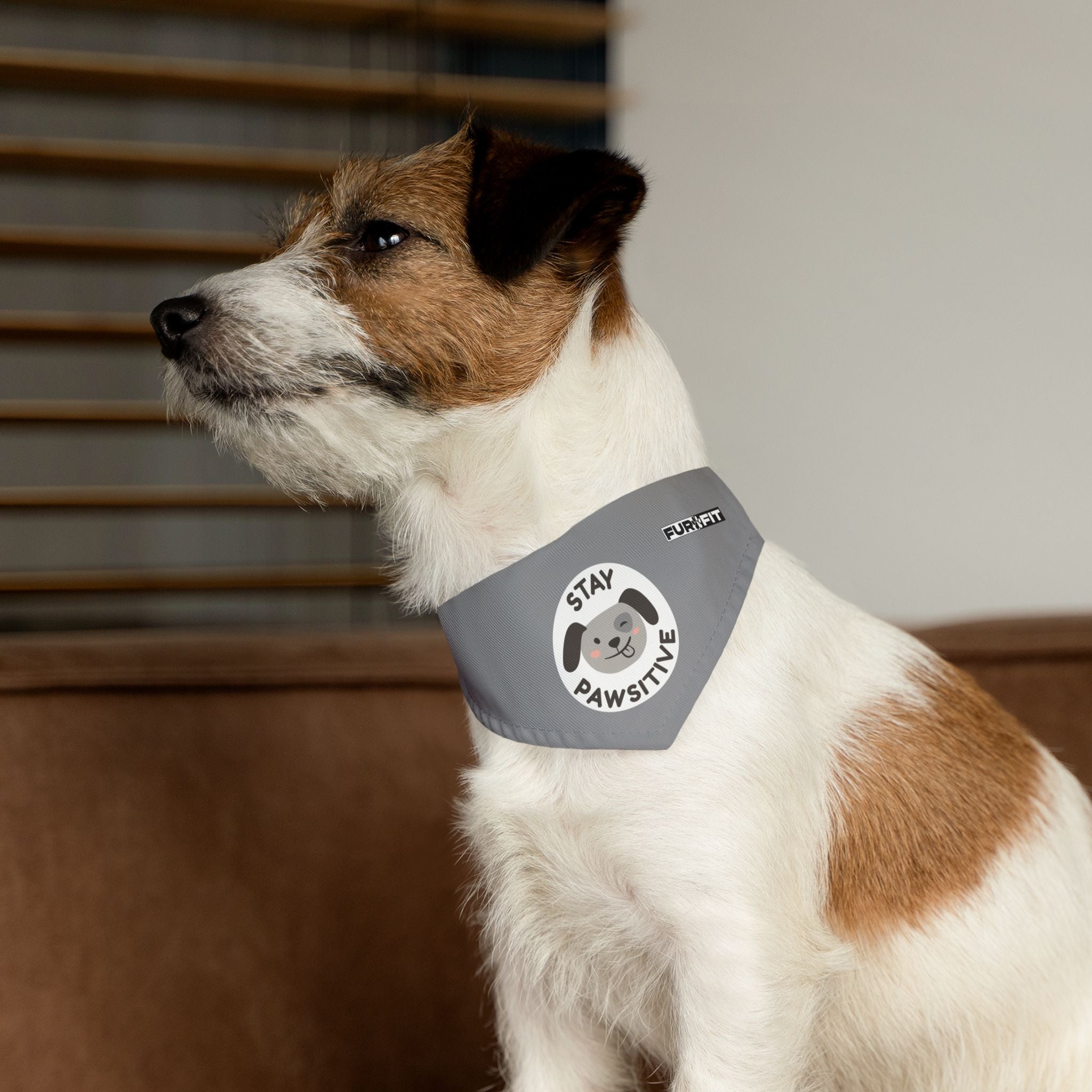Pet Bandana Collar | 'Stay Pawsitive'