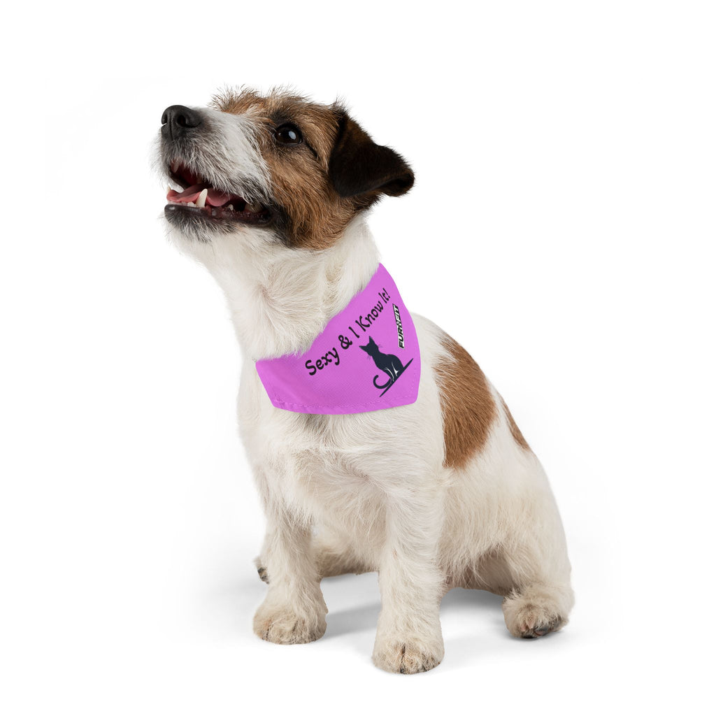 Pet Bandana Collar — "Sexy & I Know It!"