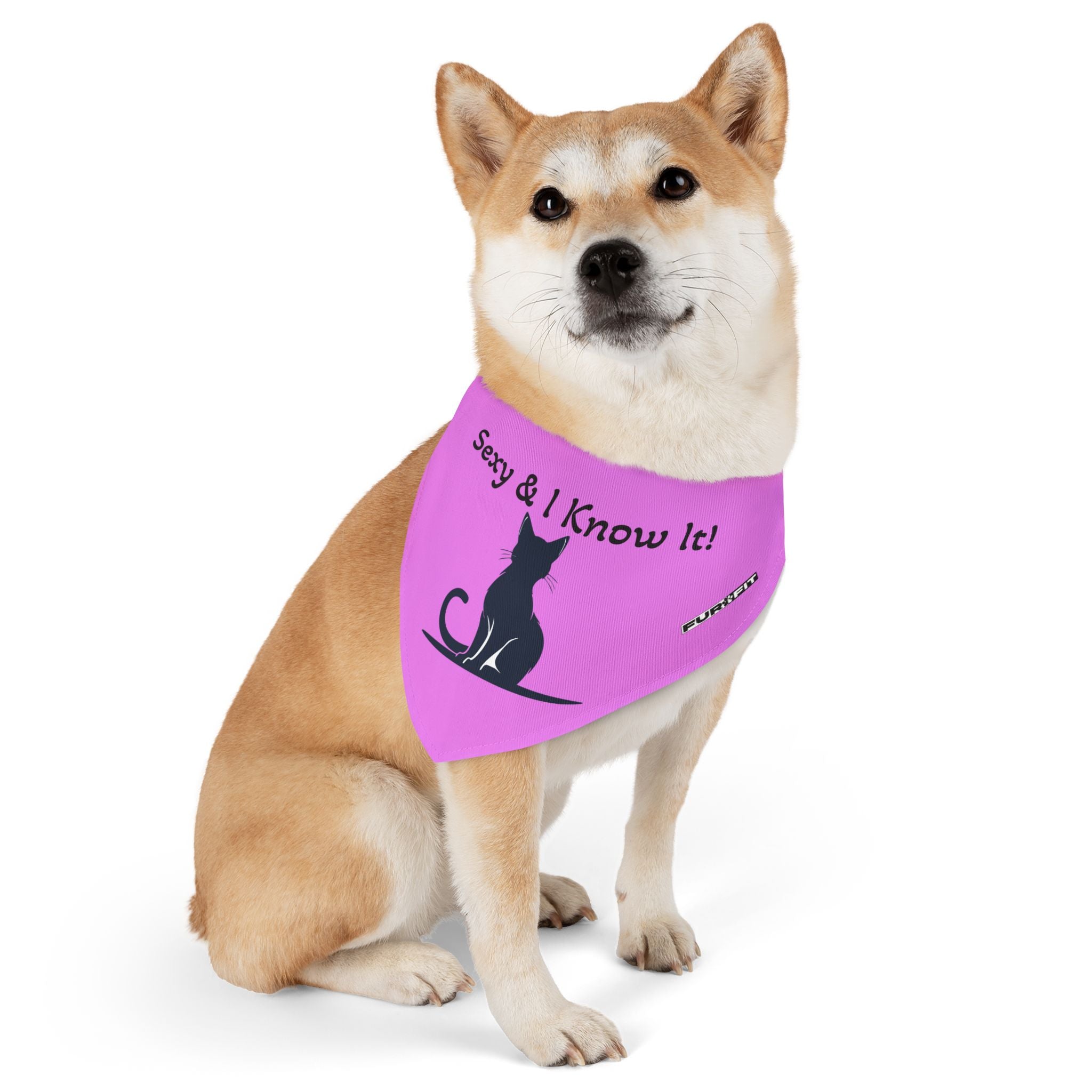 Pet Bandana Collar — "Sexy & I Know It!"