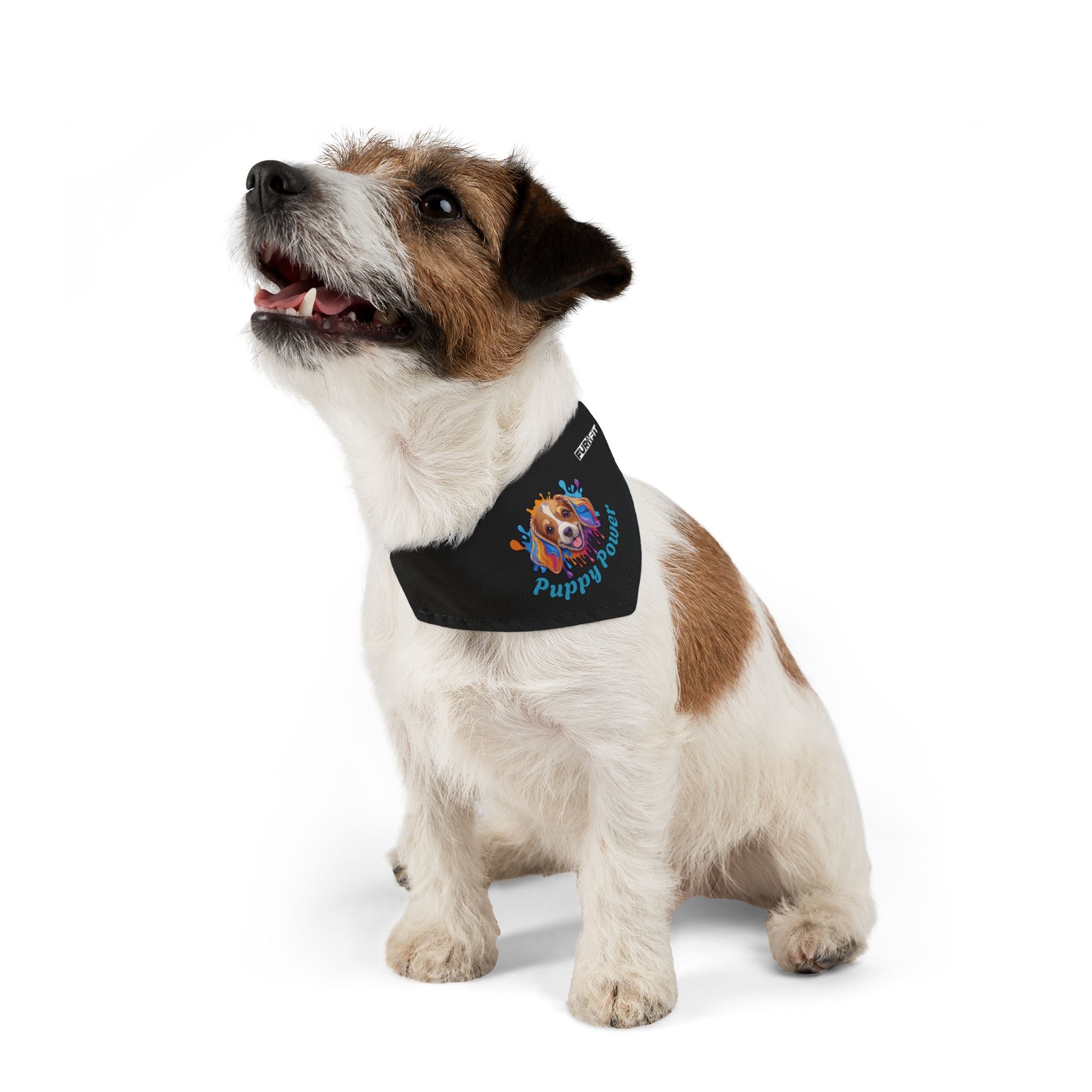 Pet Bandana Collar | 'Puppy Power' (on black)