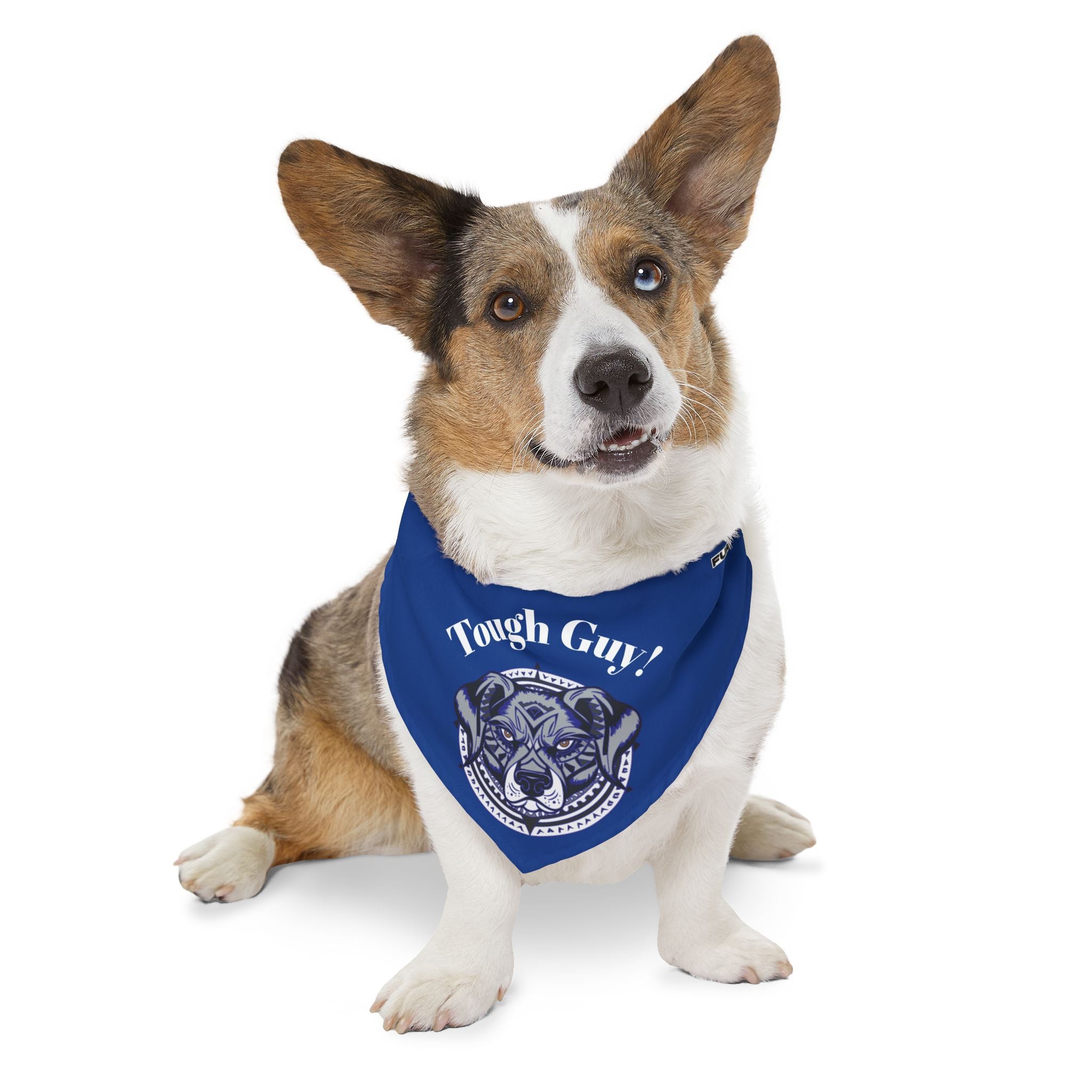 Pet Bandana Collar | 'Tough Guy!'