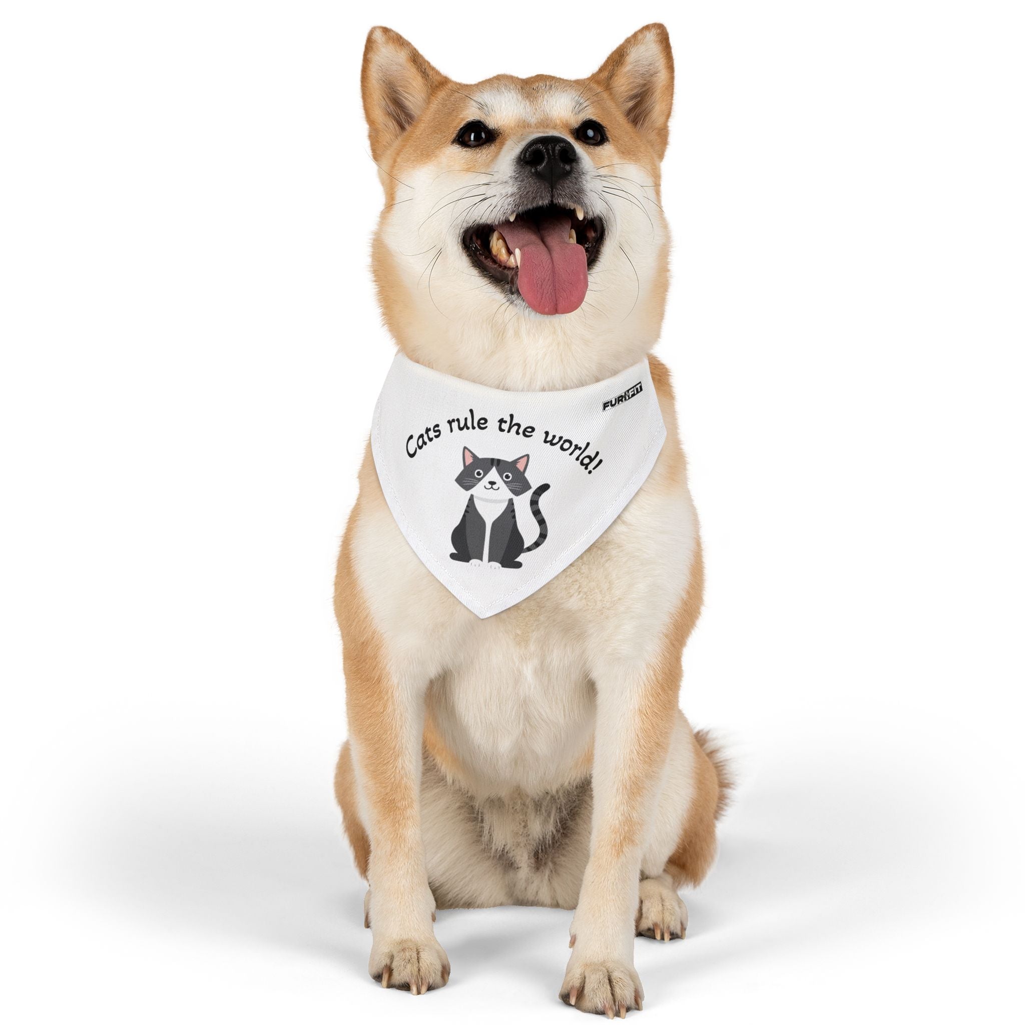 Pet Bandana Collar | 'Cats Rule the World!'