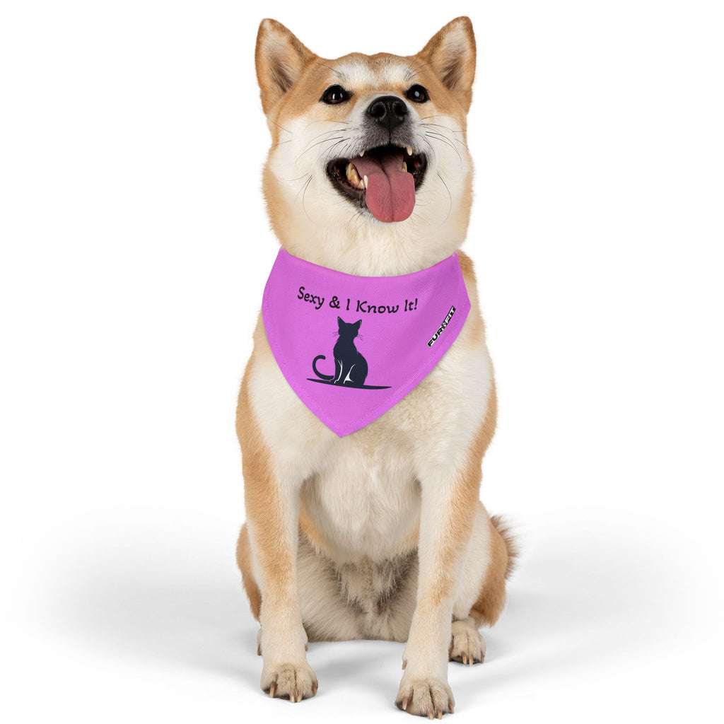 Pet Bandana Collar — "Sexy & I Know It!"