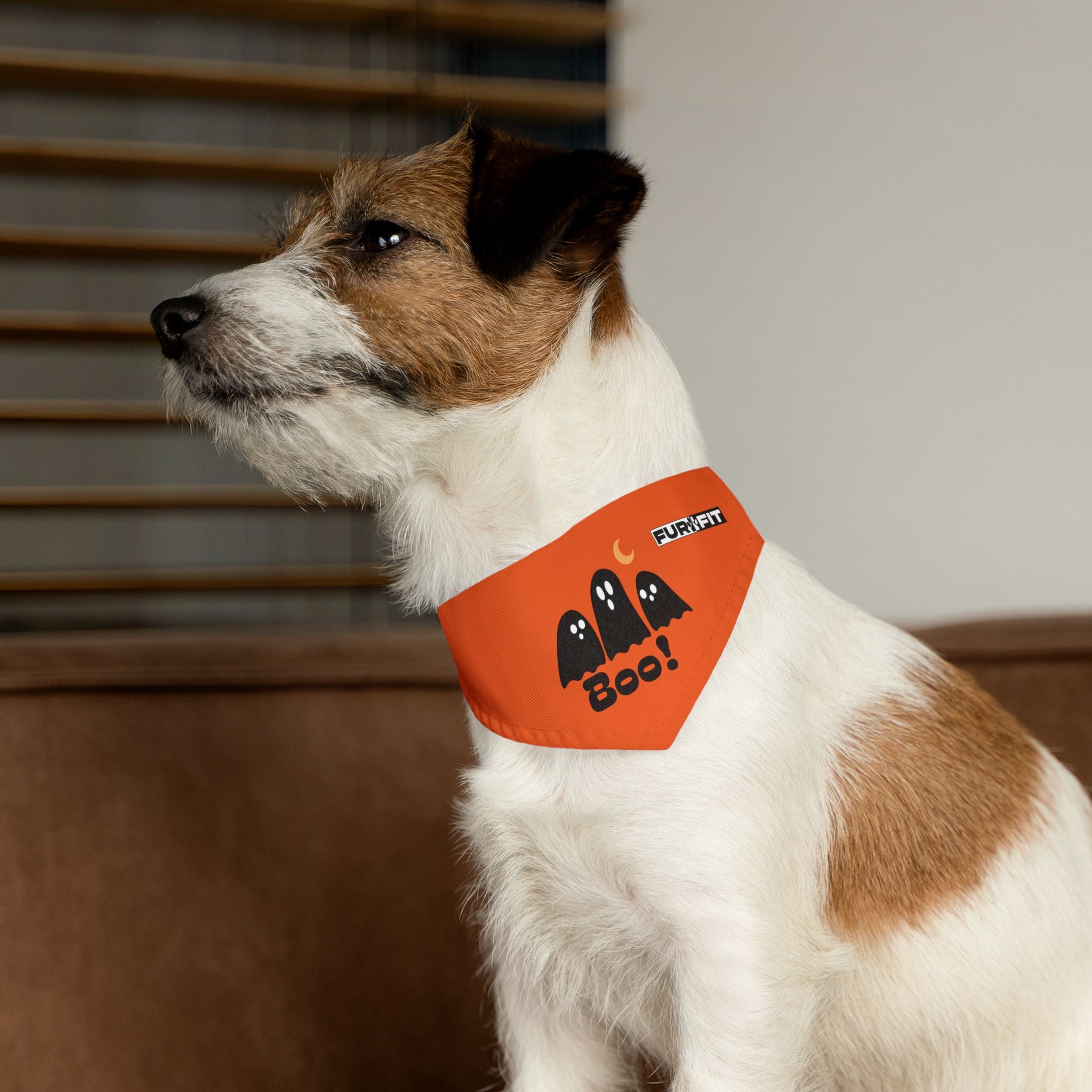 Pet Bandana Collar | 'Boo with Ghosts'(on orange)