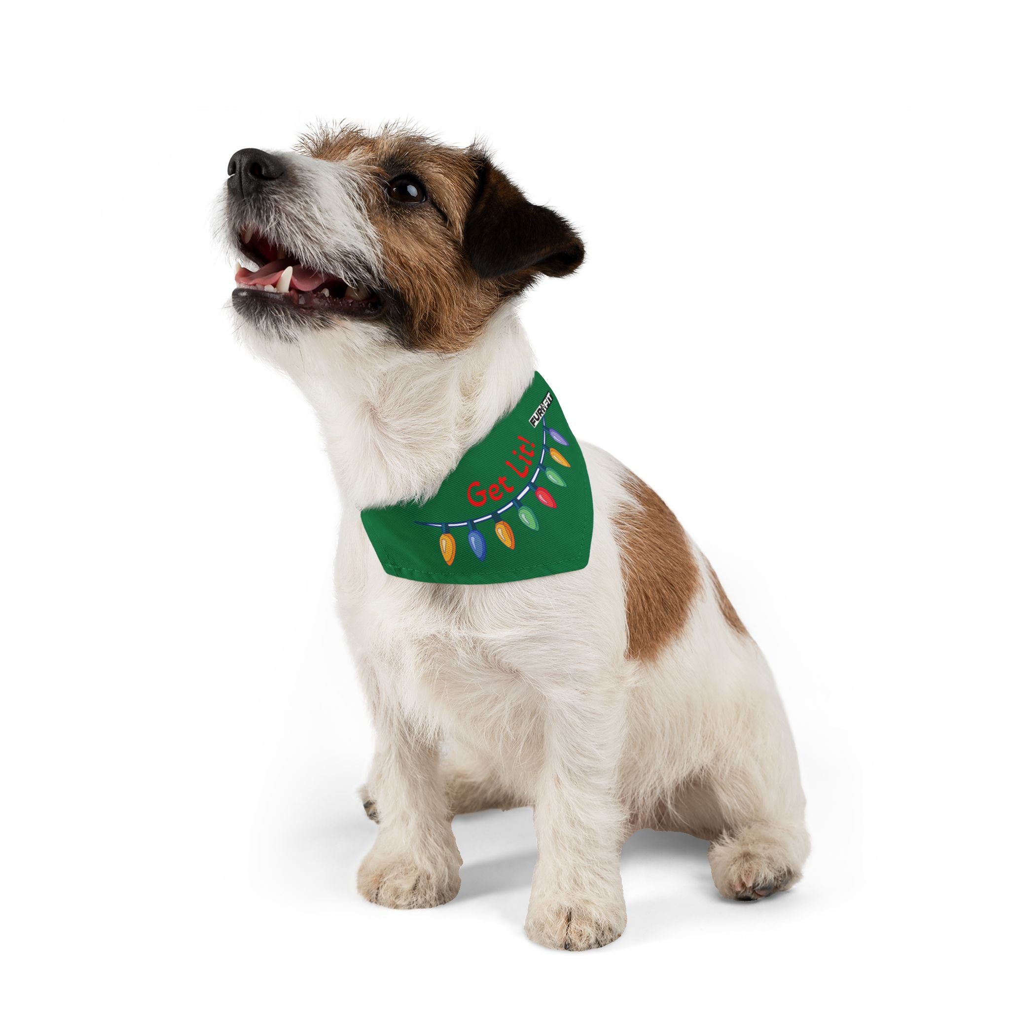Pet Bandana | "Get Lit!" with Christmas Lights