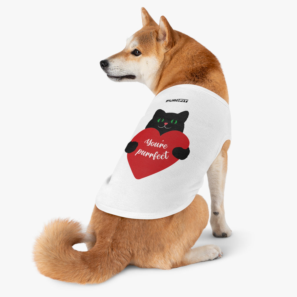 Pet T-shirt | "You're Purrfect"
