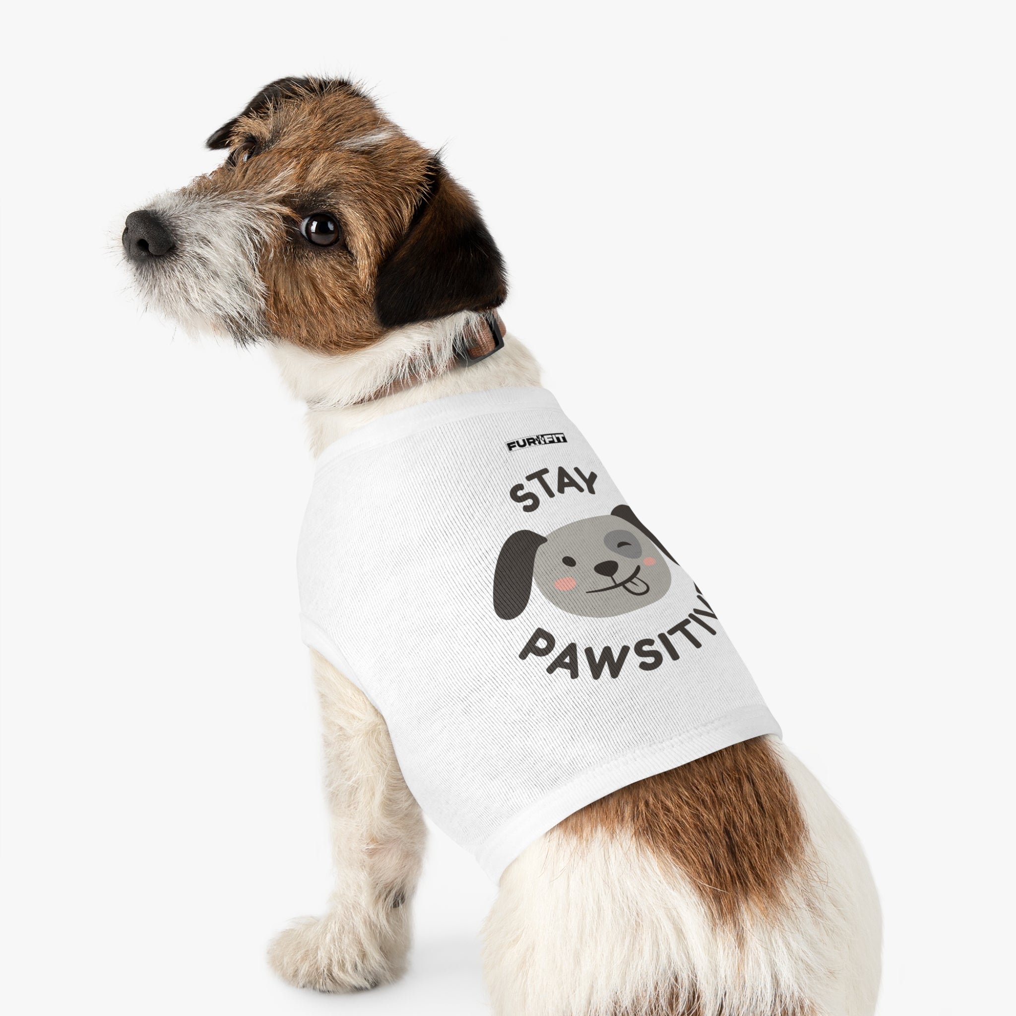 Pet T-shirt | "Stay Pawsitive"