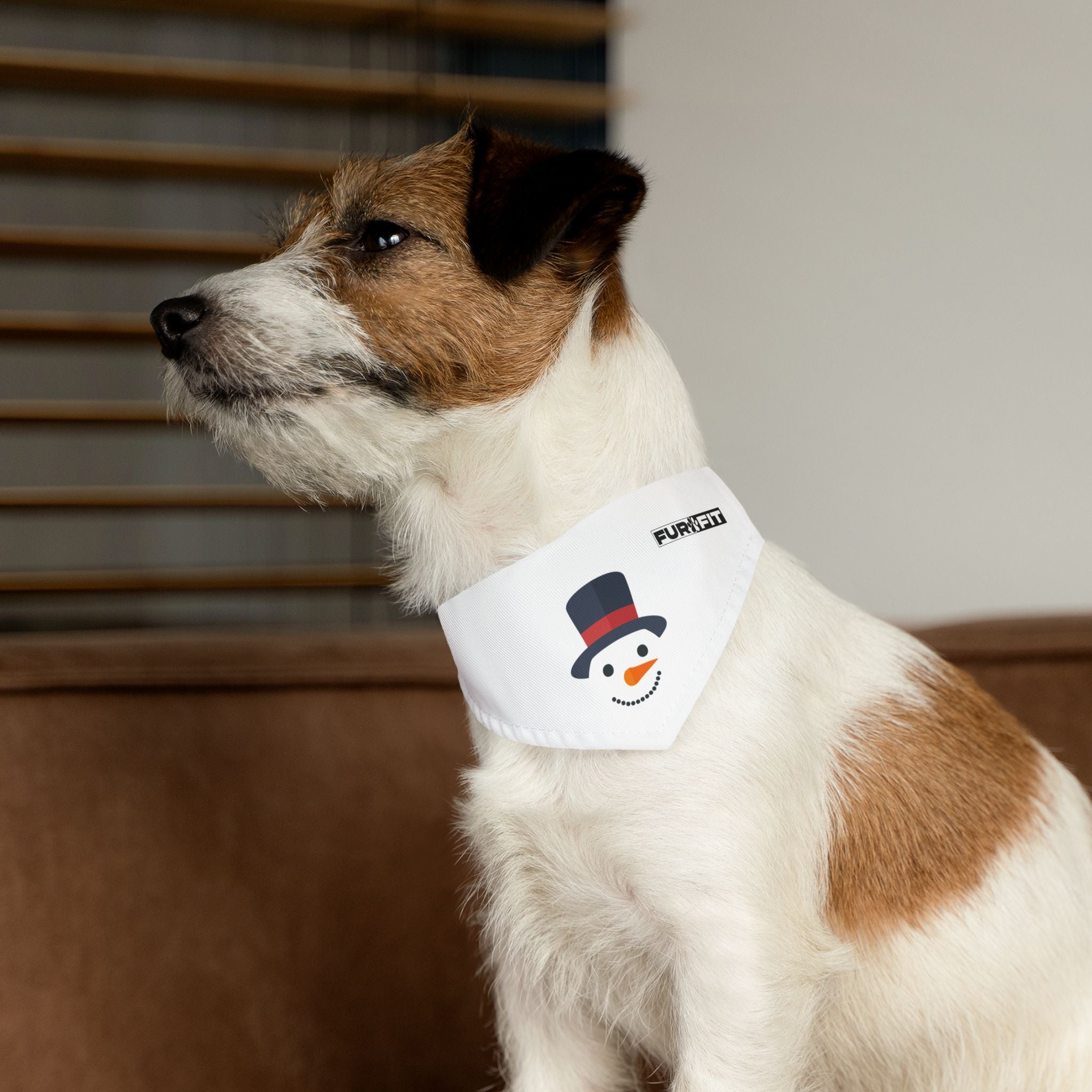 Pet Bandana Collar | "Snowman Face"