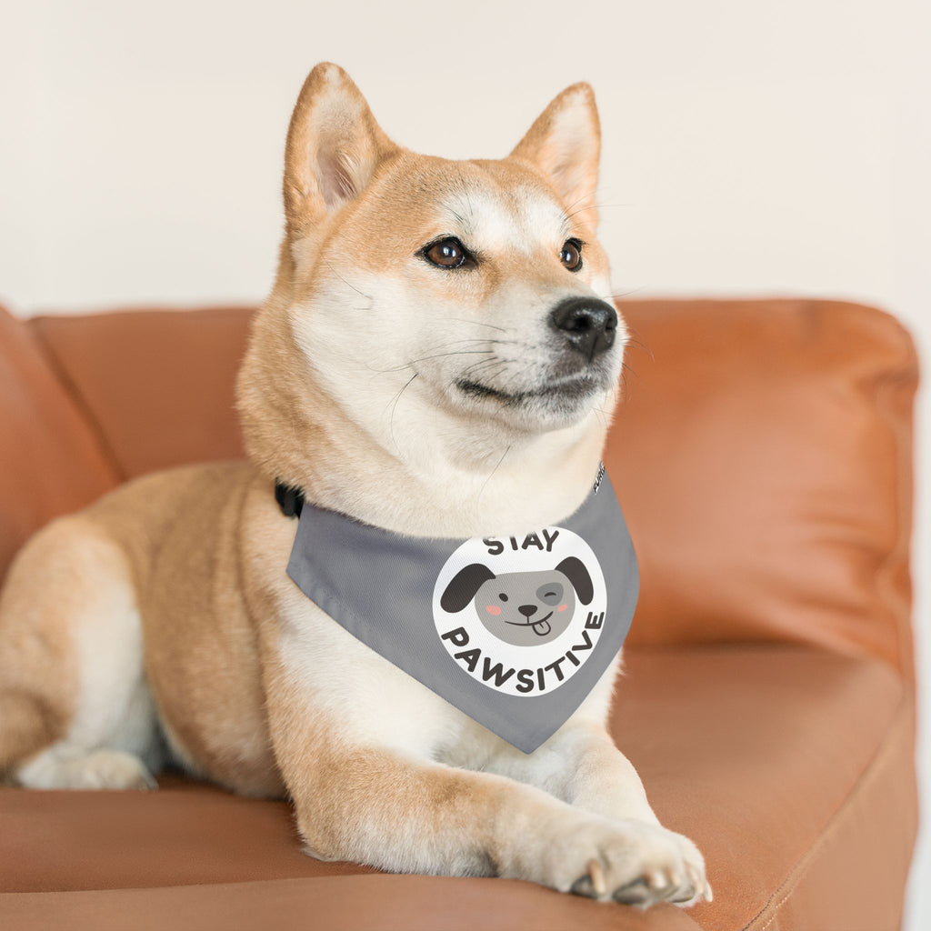 Pet Bandana Collar | 'Stay Pawsitive'