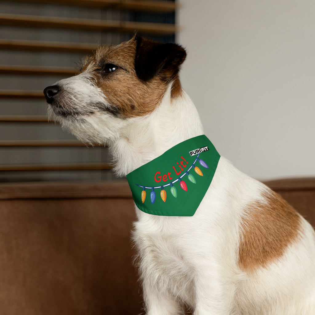 Pet Bandana | "Get Lit!" with Christmas Lights