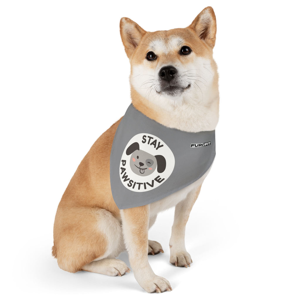 Pet Bandana Collar | 'Stay Pawsitive'