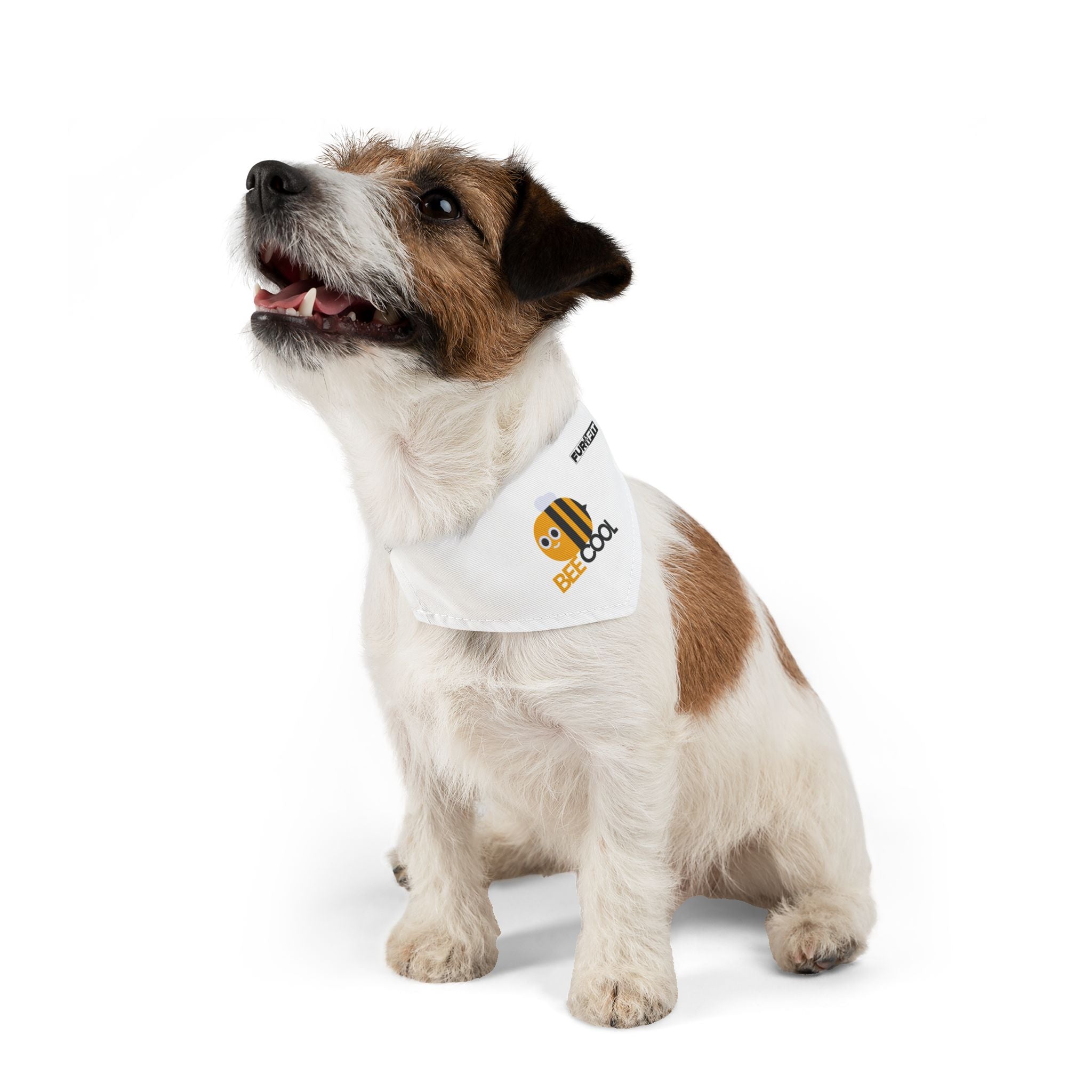 Pet Bandana Collar | 'Bee Cool'