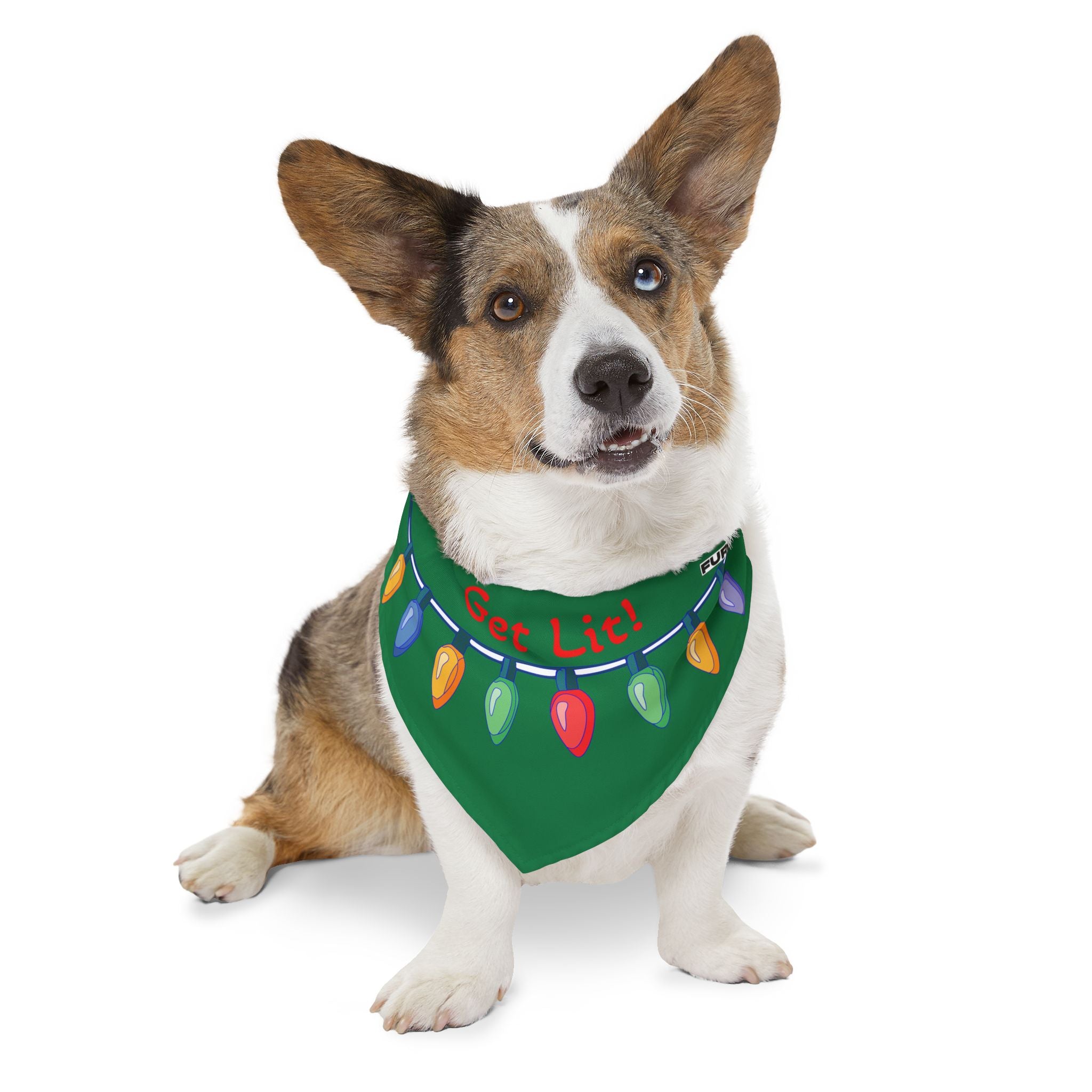 Pet Bandana | "Get Lit!" with Christmas Lights