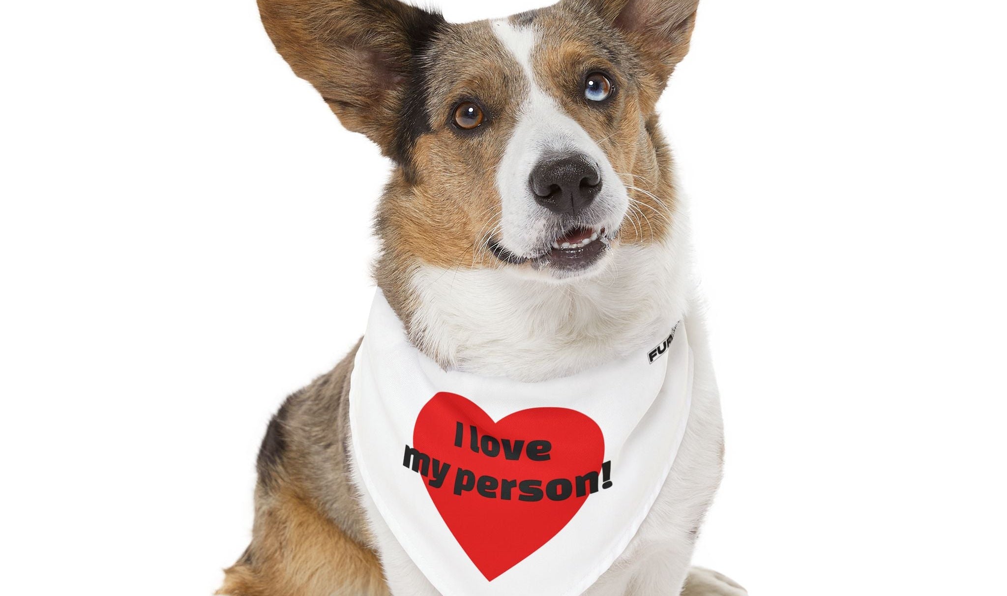 Pet Bandana | 'I love my person!'