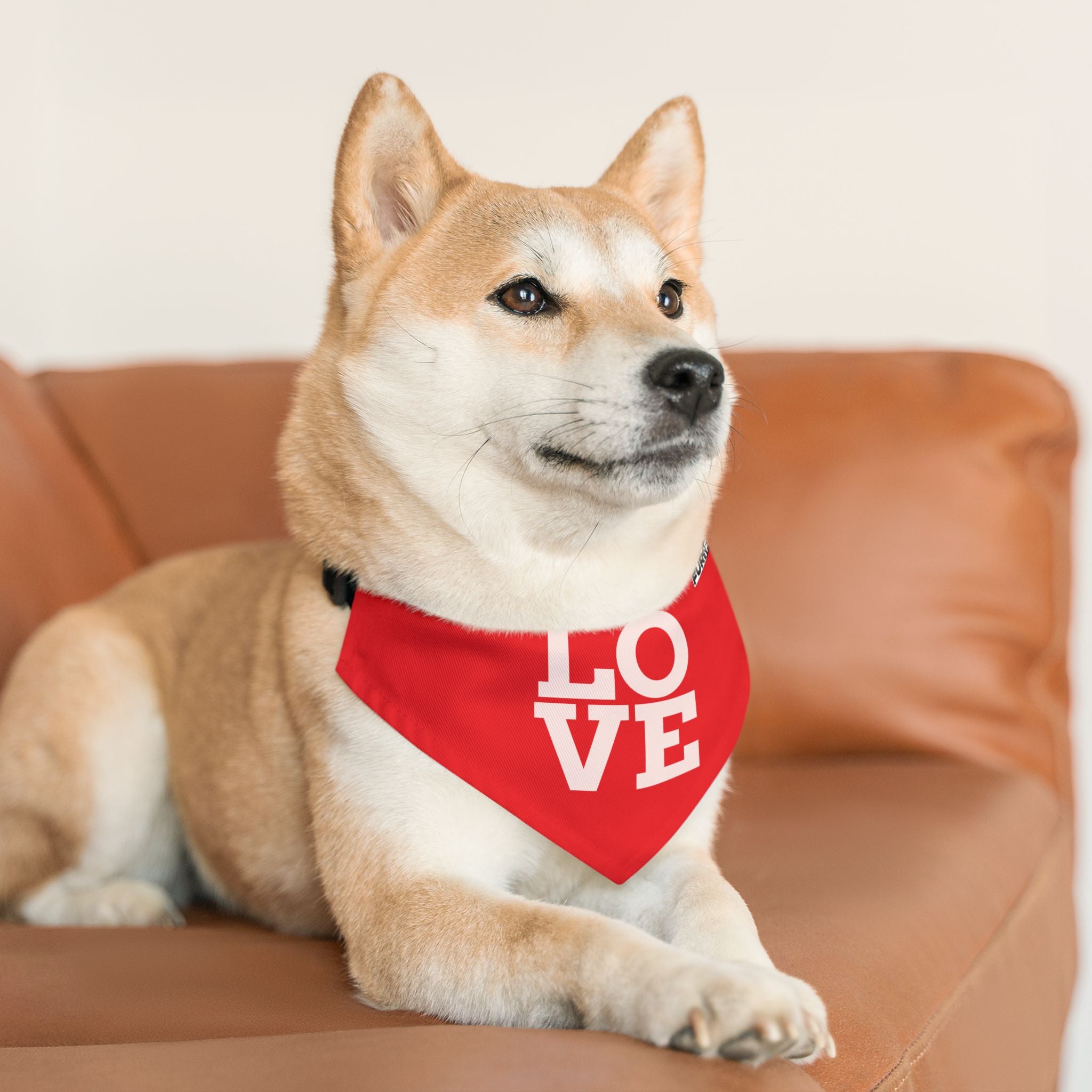 Pet Bandana Collar | 'LOVE'