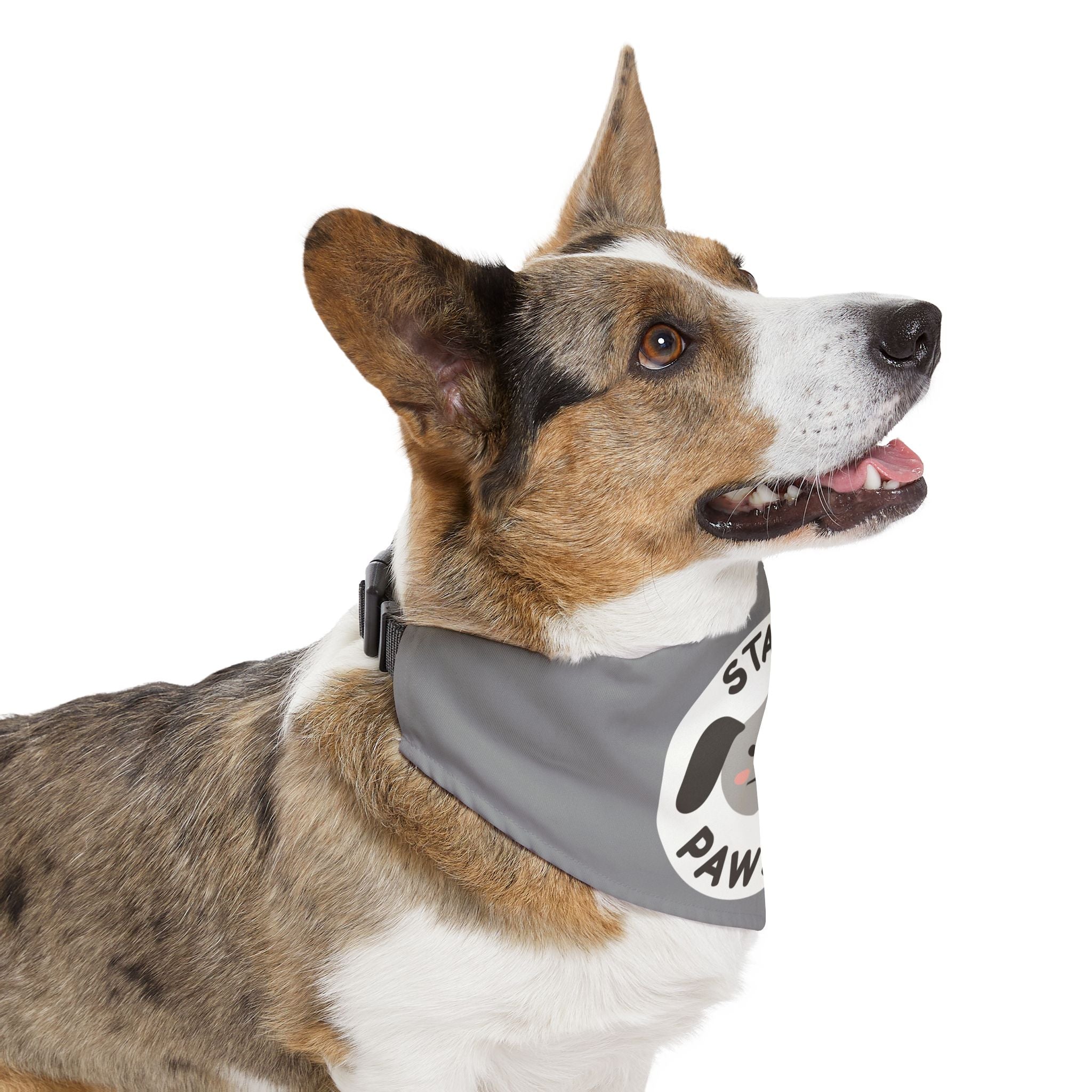 Pet Bandana Collar | 'Stay Pawsitive'