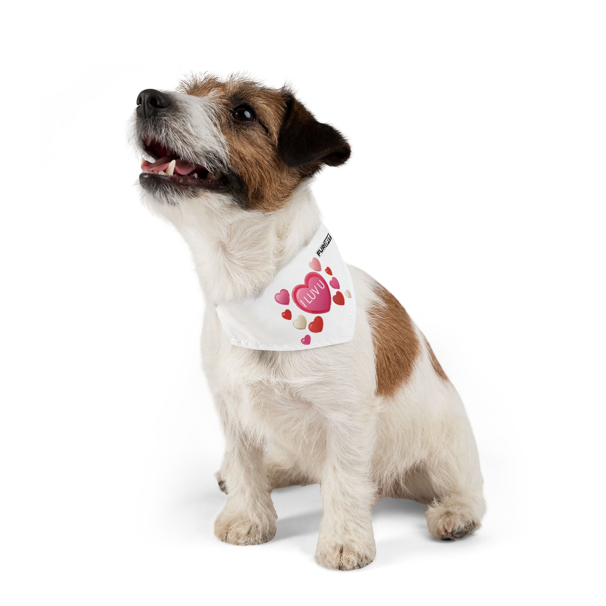 Pet Bandana Collar | 'I Luv U'