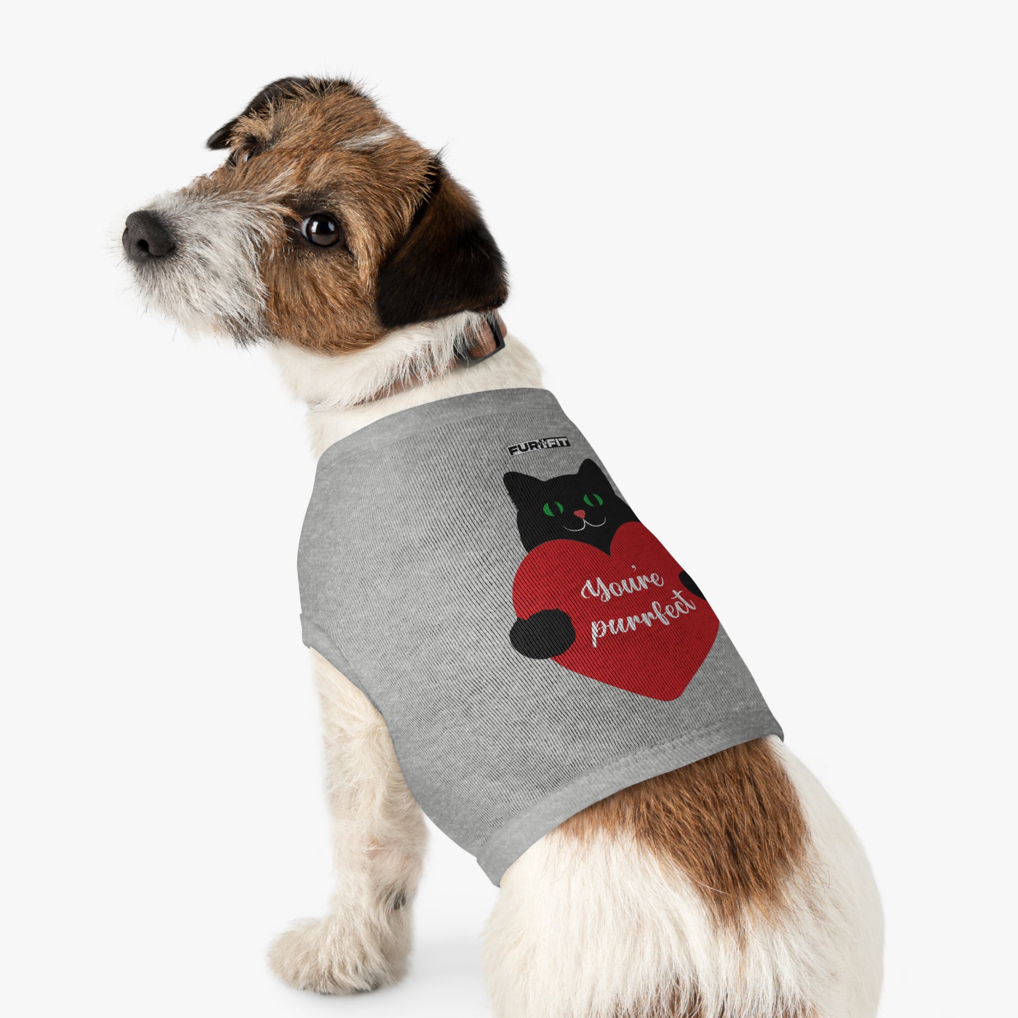 Pet T-shirt | "You're Purrfect"