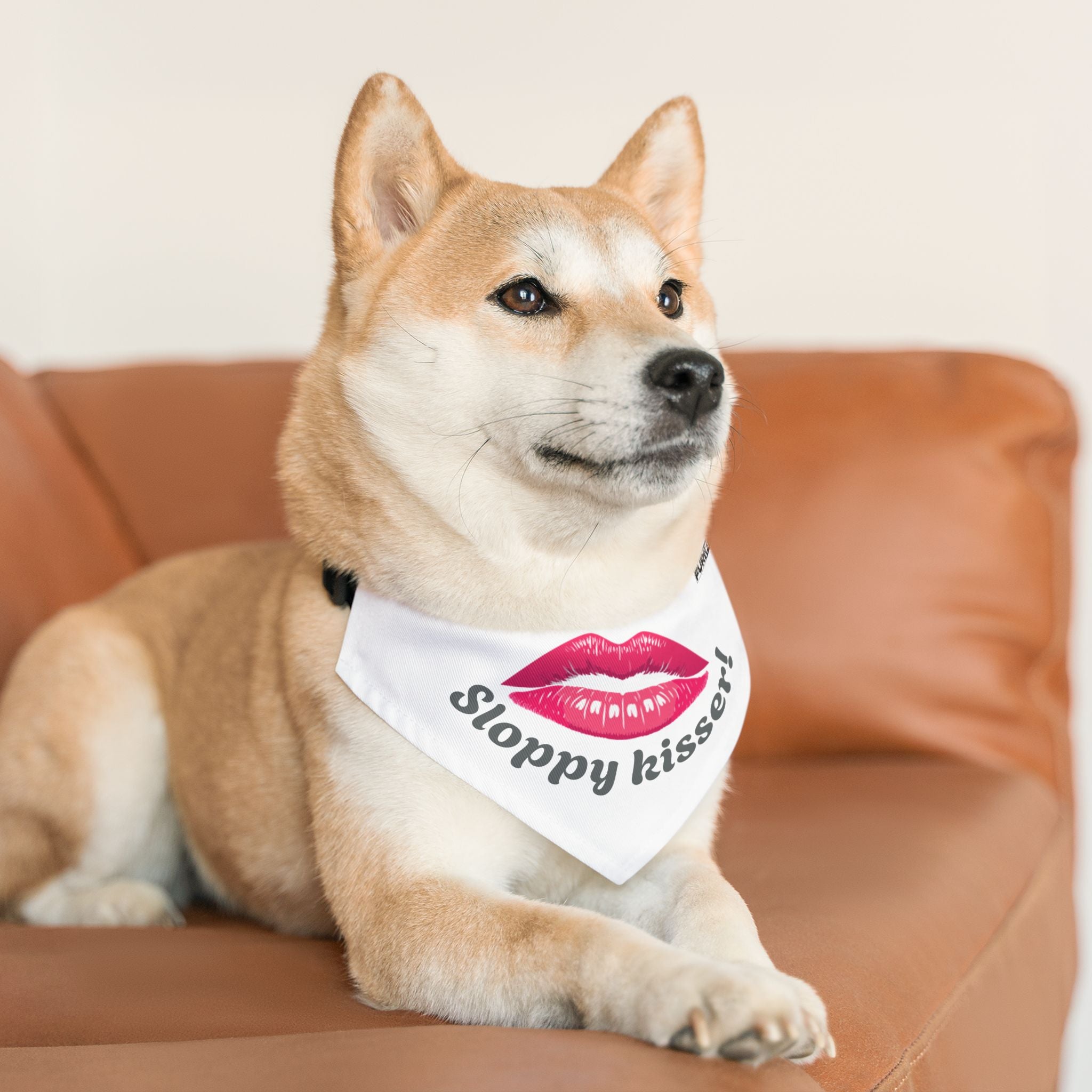 Pet Bandana Collar | 'Sloppy Kisser'