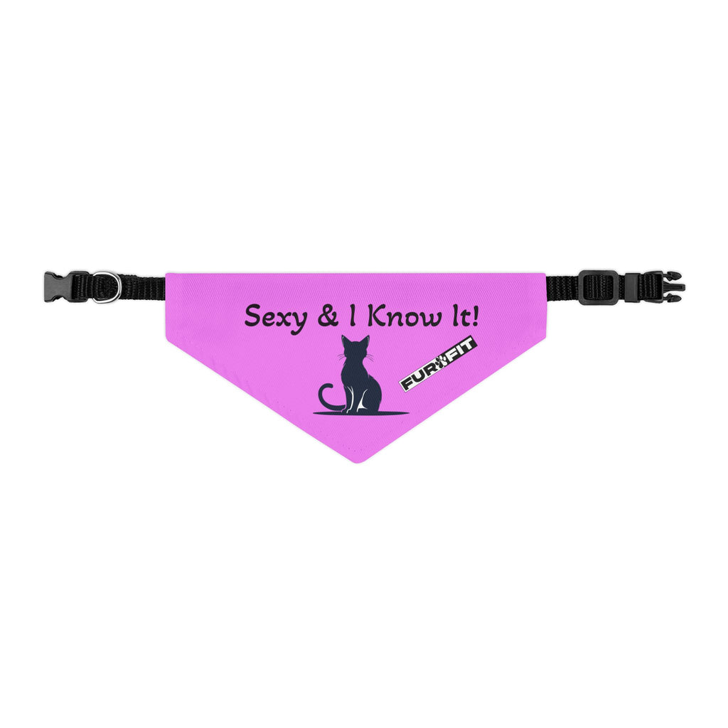 Pet Bandana Collar — "Sexy & I Know It!"