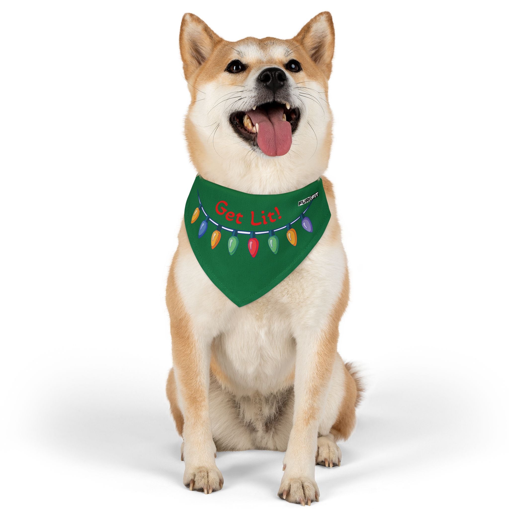 Pet Bandana | "Get Lit!" with Christmas Lights
