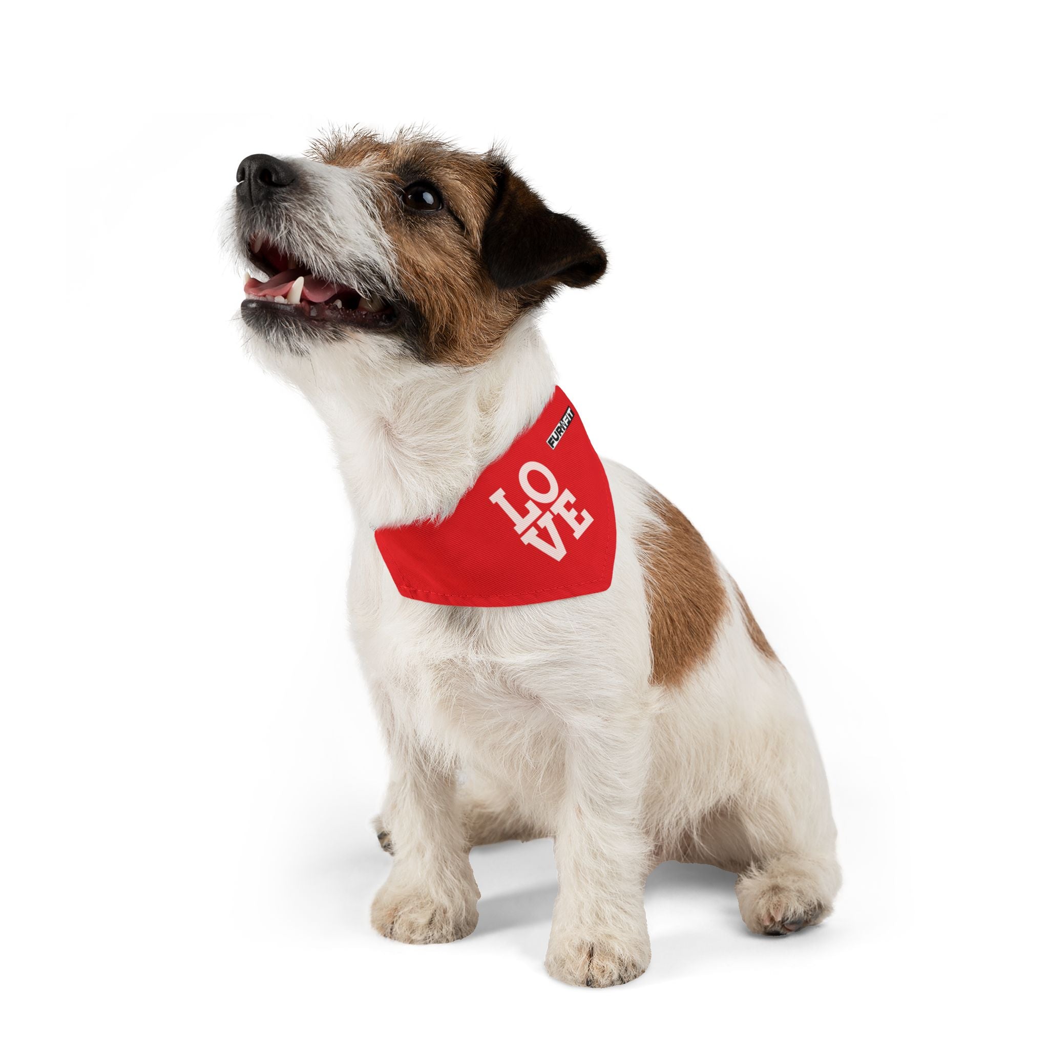Pet Bandana Collar | 'LOVE'