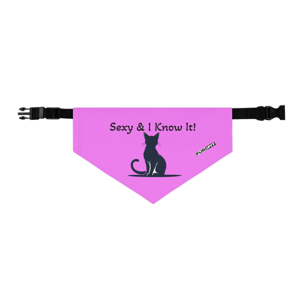 Pet Bandana Collar — "Sexy & I Know It!"
