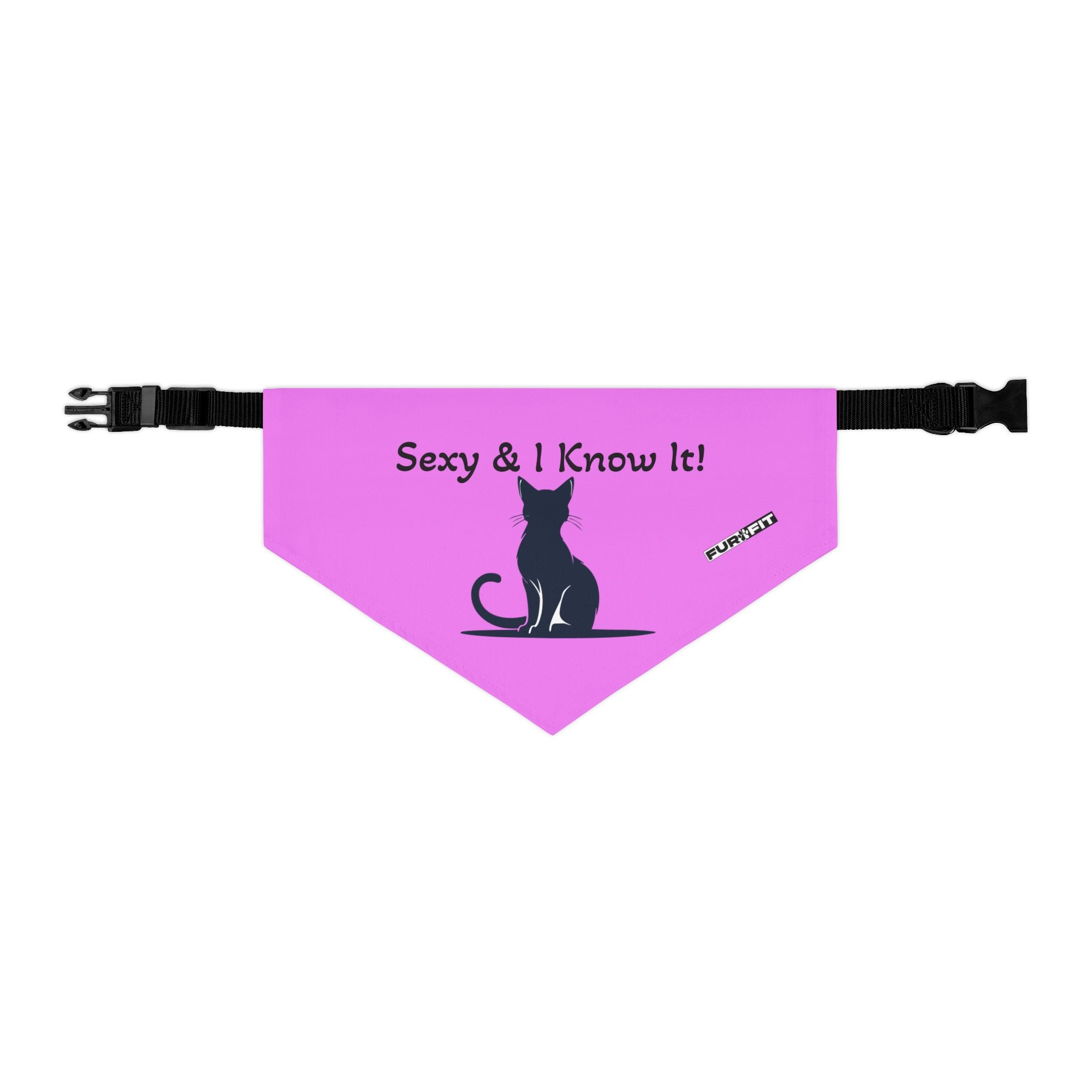 Pet Bandana Collar — "Sexy & I Know It!"