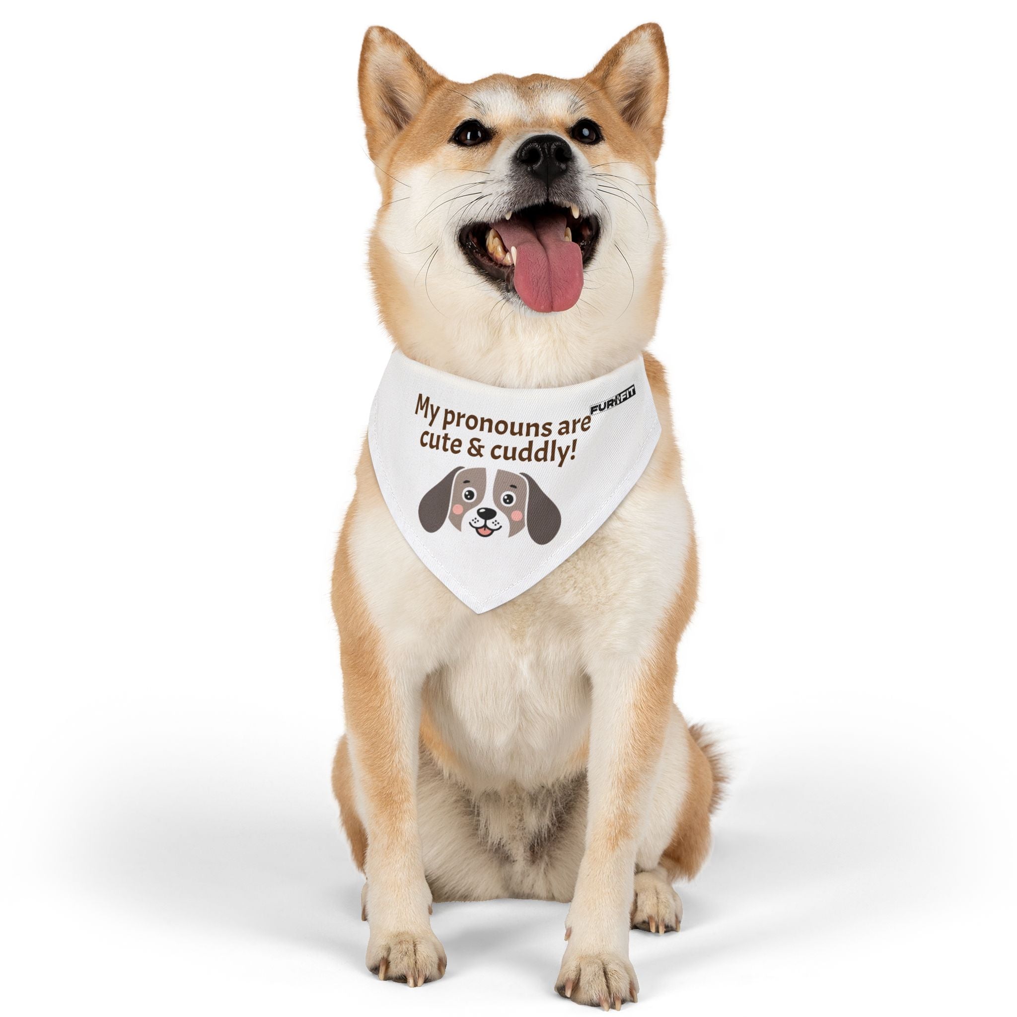 Pet Bandana Collar | 'My pronouns are cute & cuddly'