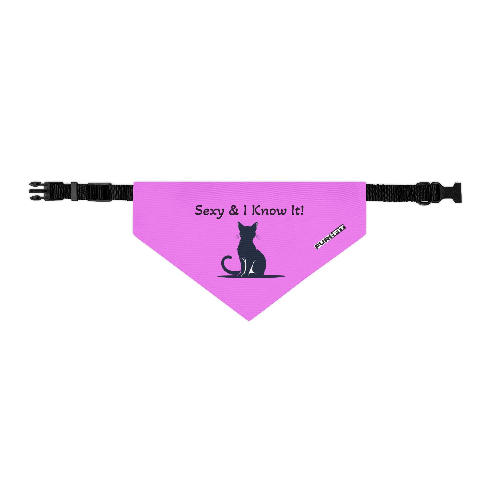 Pet Bandana Collar — "Sexy & I Know It!"