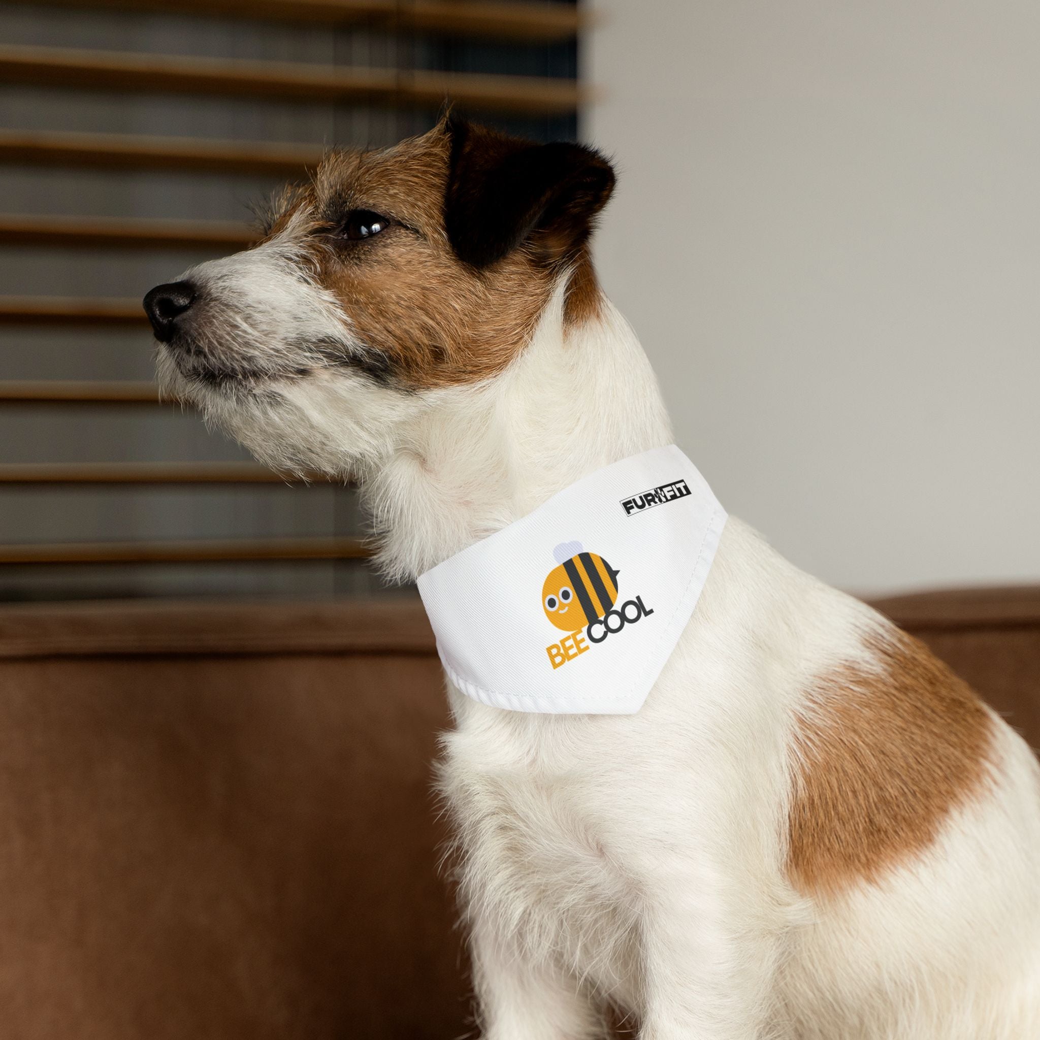 Pet Bandana Collar | 'Bee Cool'