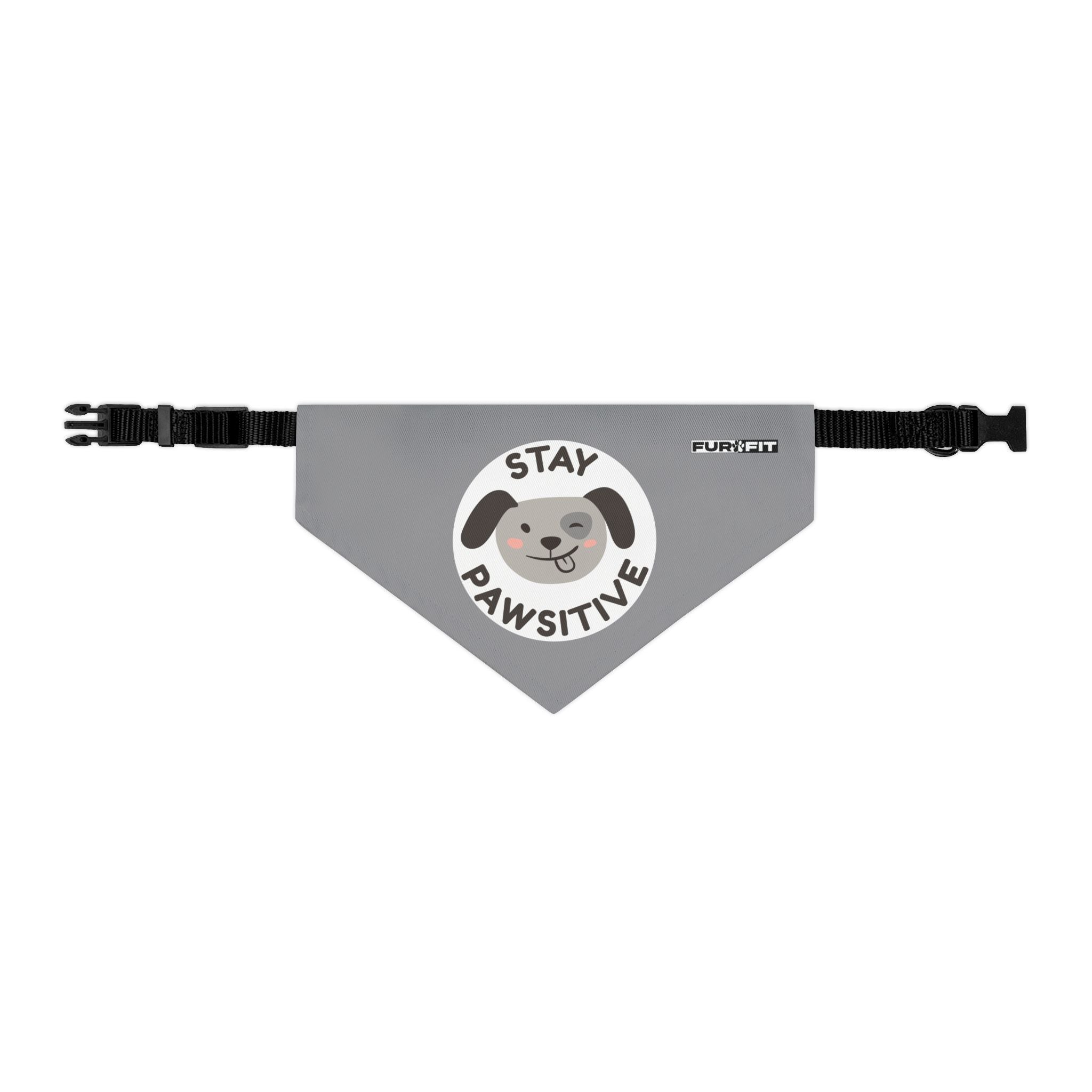 Pet Bandana Collar | 'Stay Pawsitive'