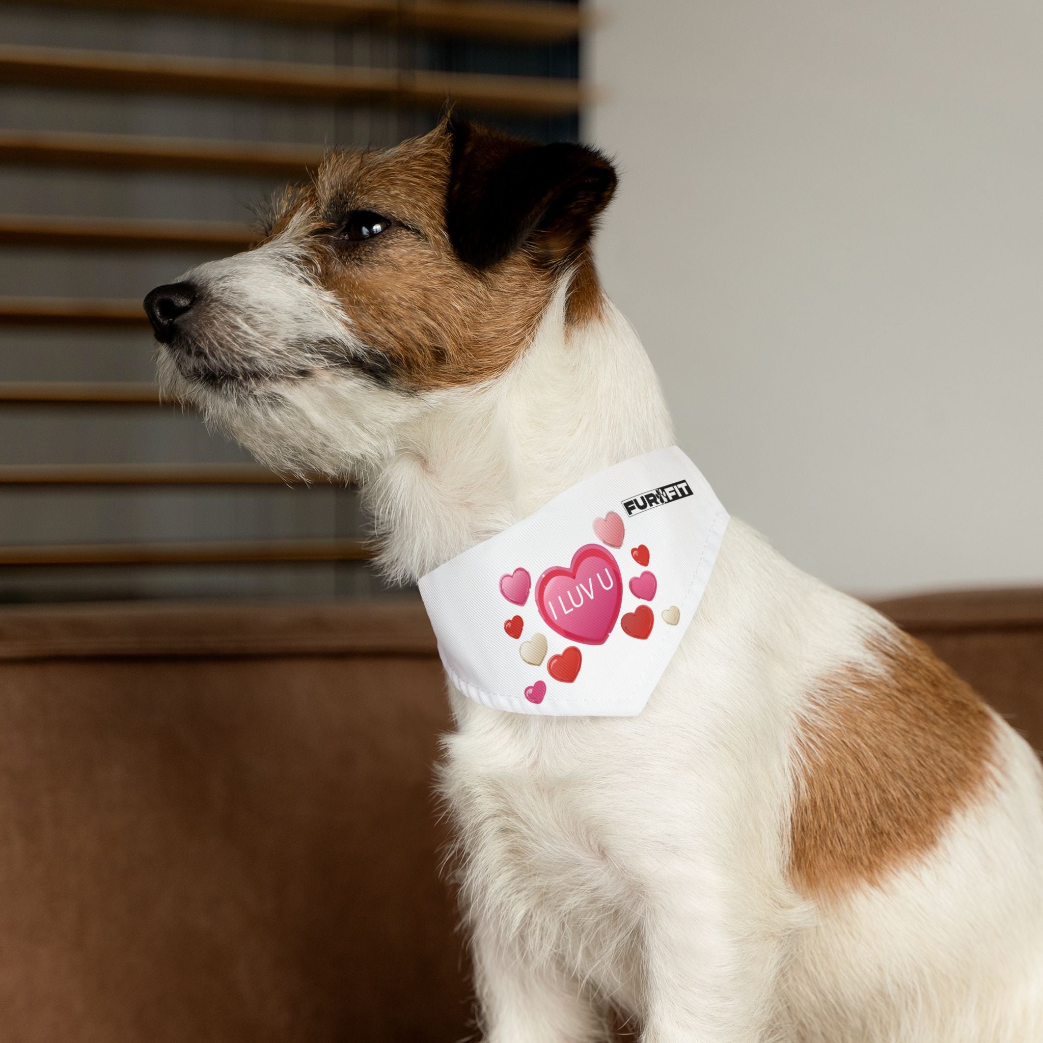 Pet Bandana Collar | 'I Luv U'