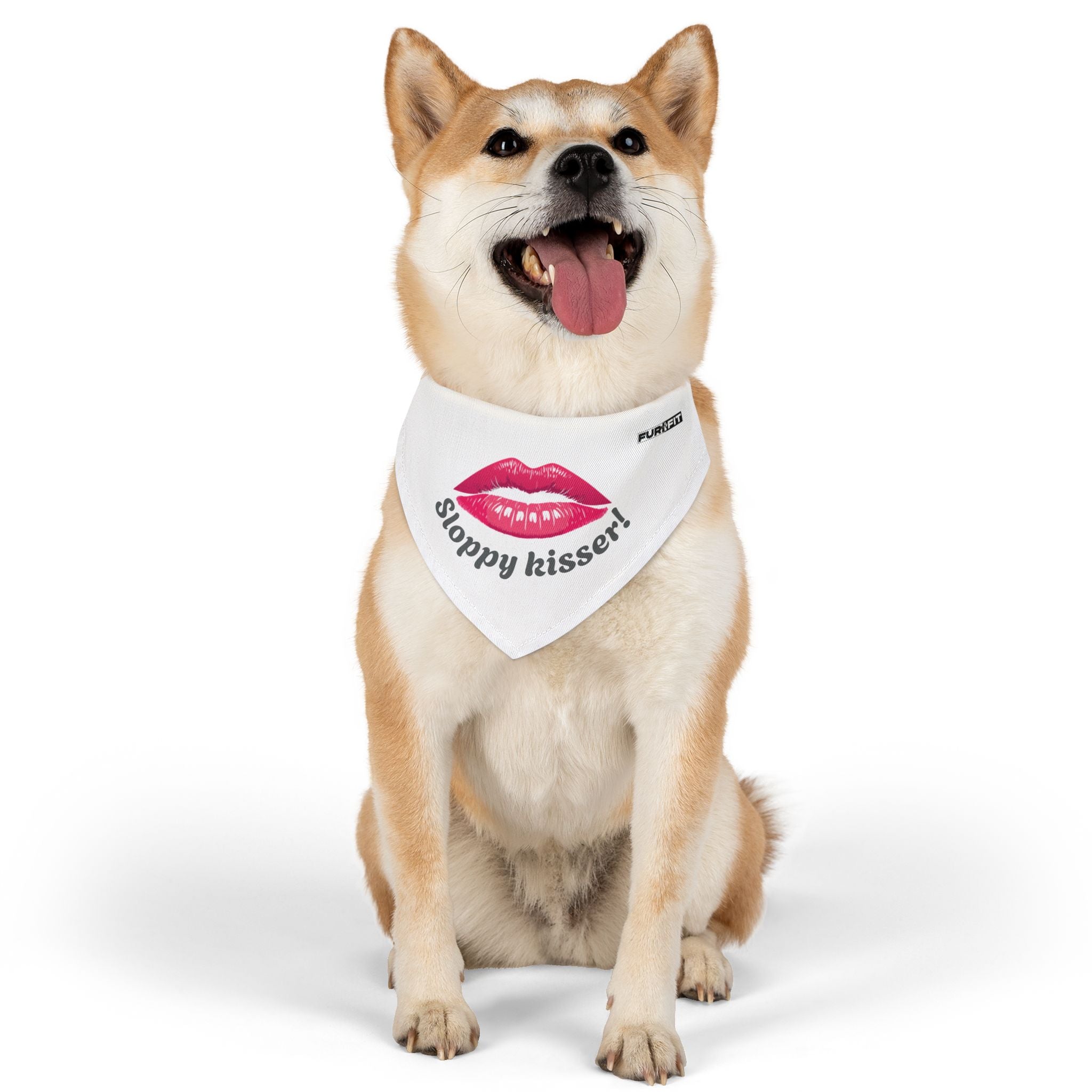 Pet Bandana Collar | "Sloppy Kisser"