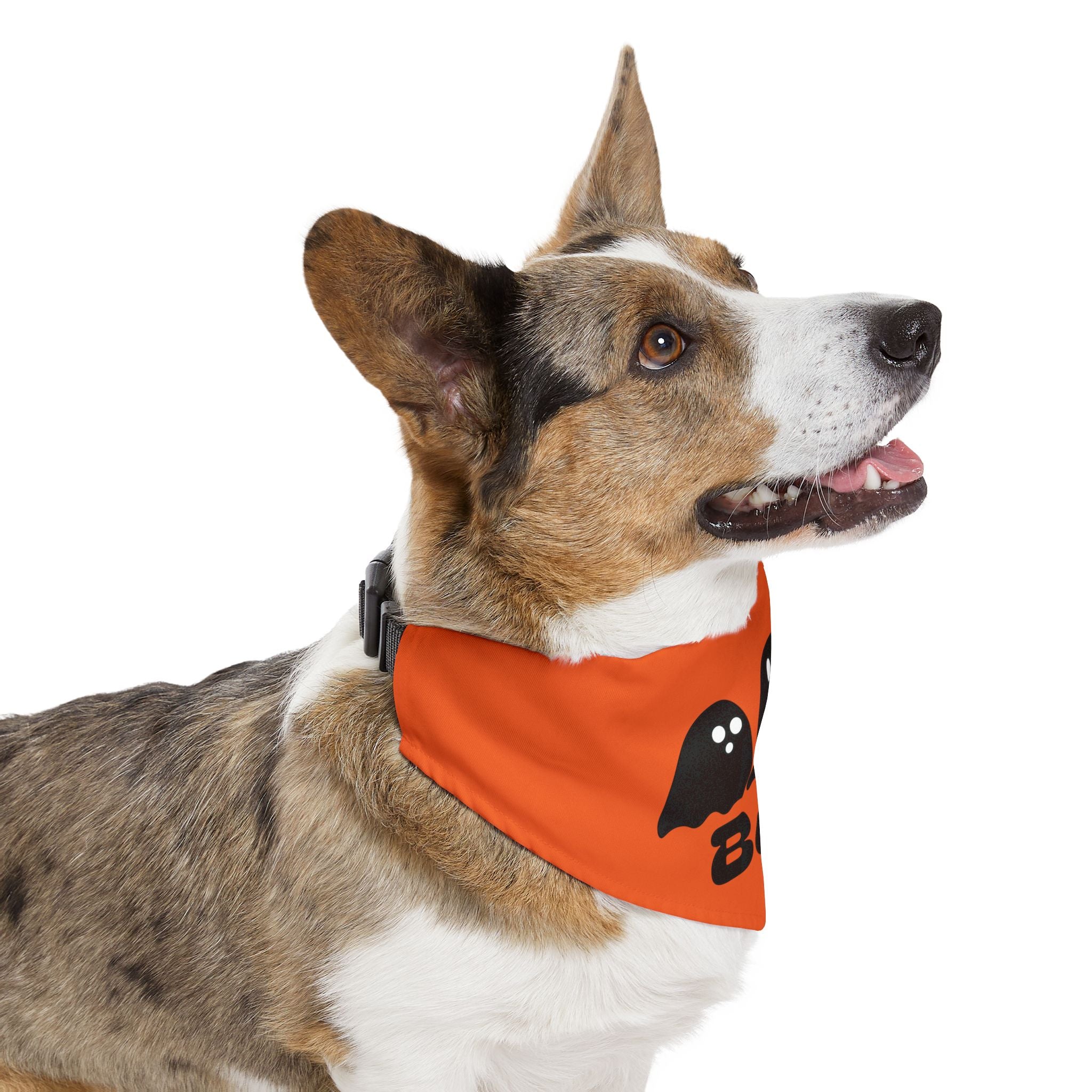 Pet Bandana Collar | 'Boo with Ghosts'(on orange)