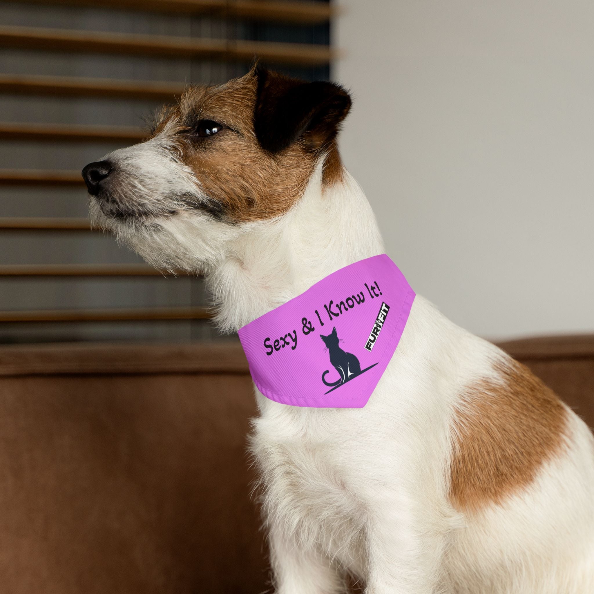 Pet Bandana Collar — "Sexy & I Know It!"