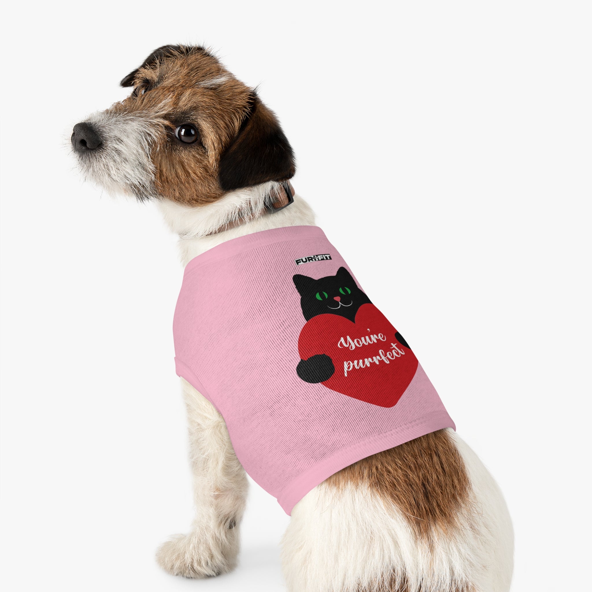 Pet T-shirt | "You're Purrfect"