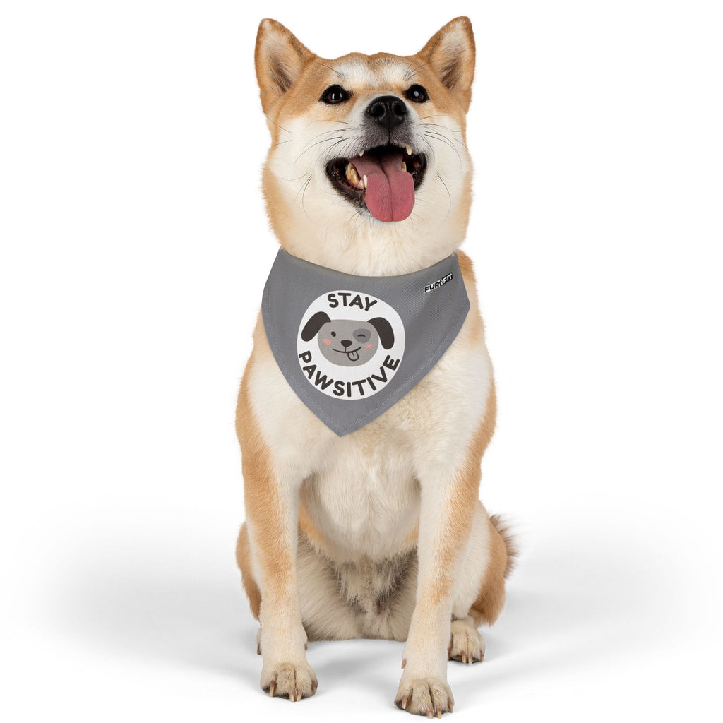 Pet Bandana Collar | 'Stay Pawsitive'