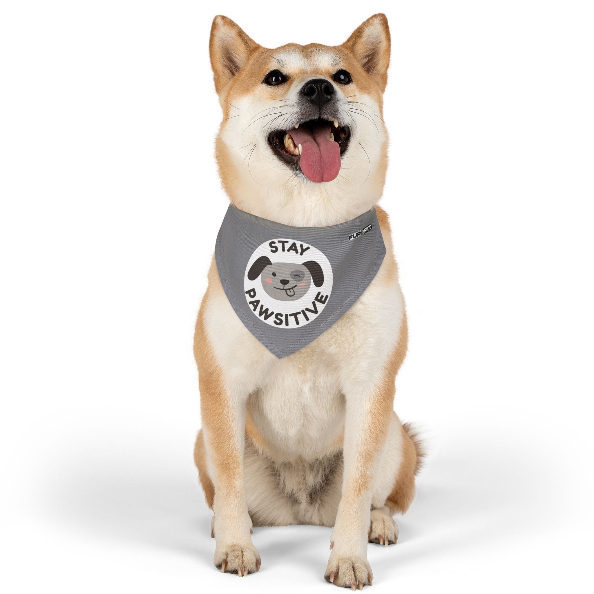 Pet Bandana Collar | 'Stay Pawsitive'